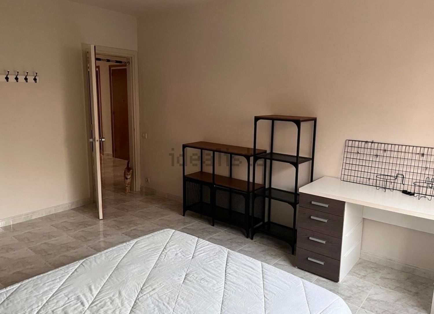 Habitació de lloguer, Granollers