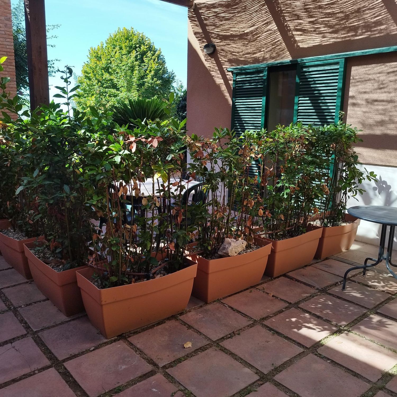 Pis de 75 m² a Tiana