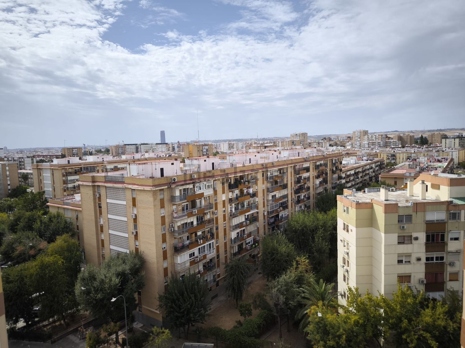 Habitació de lloguer, Sevilla