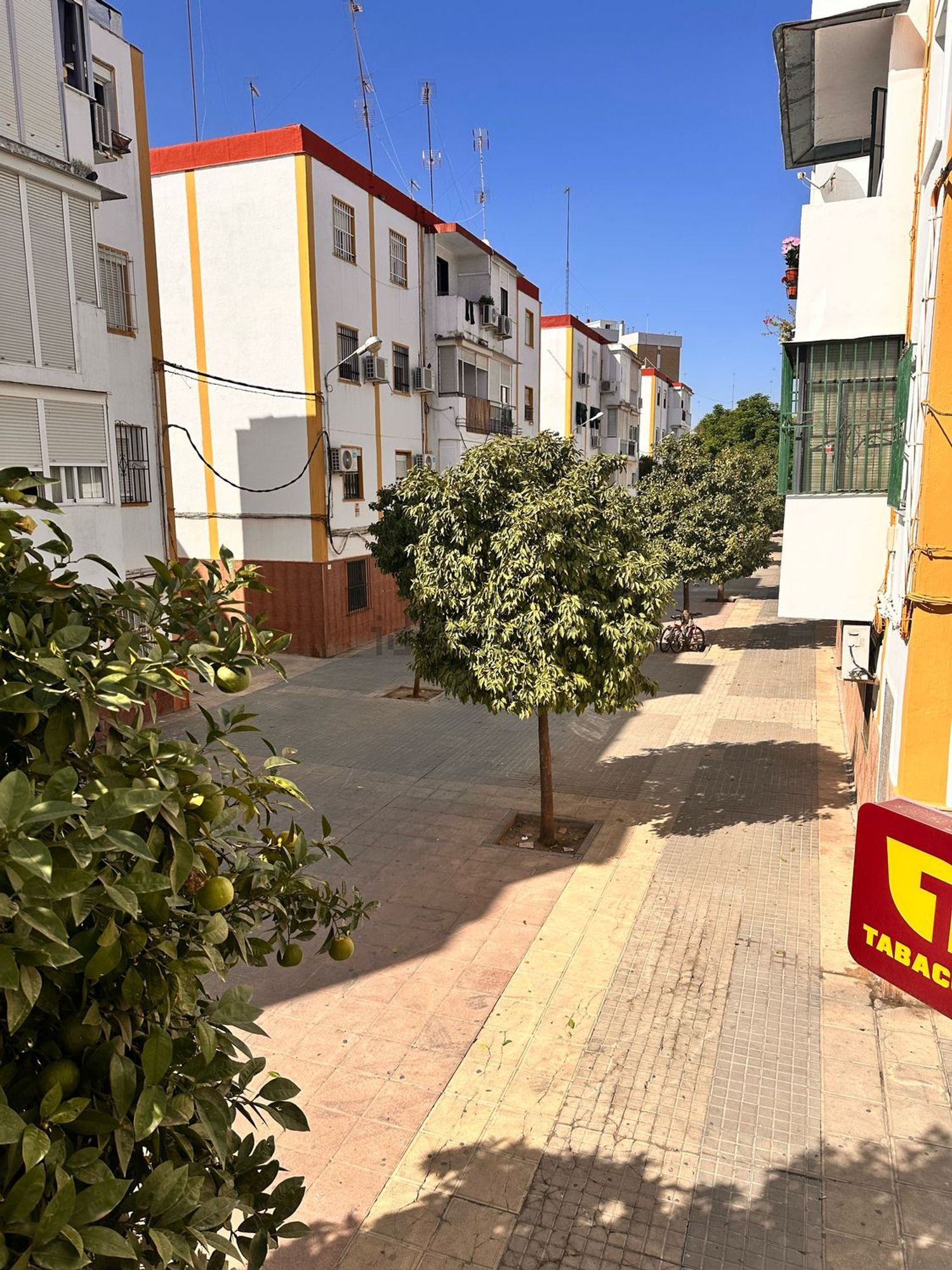Habitació de lloguer, Sevilla