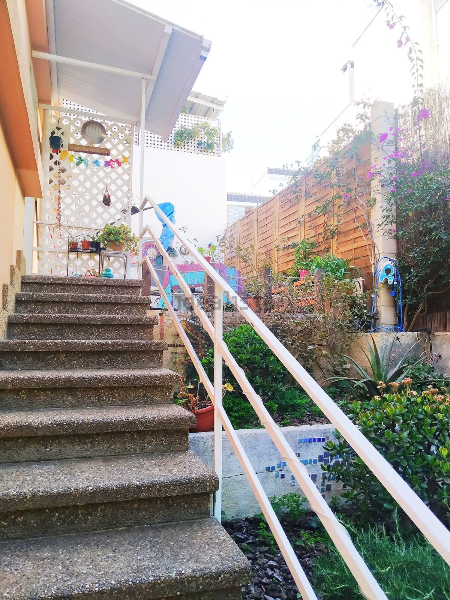 Stanza in affitto, Palma