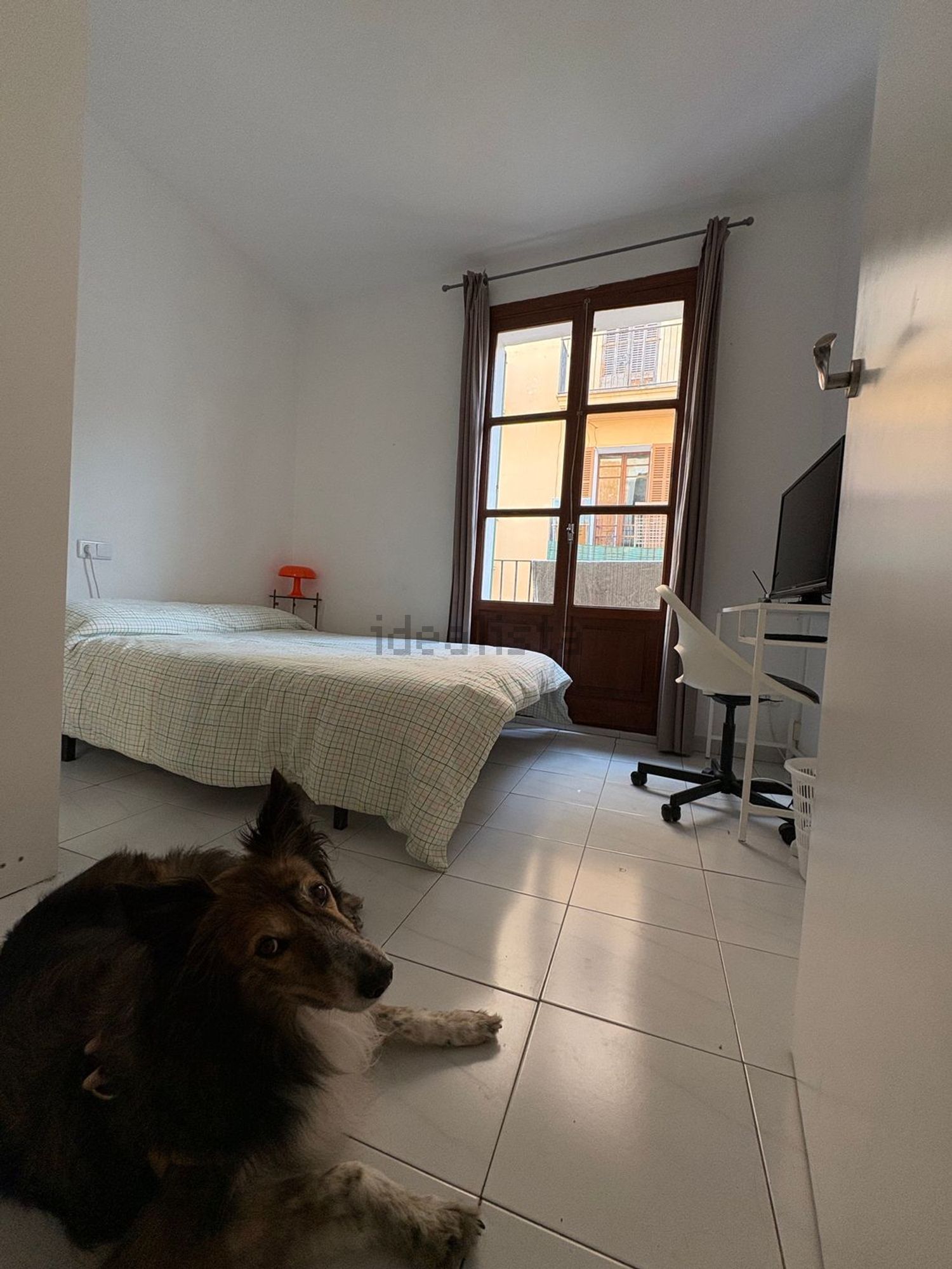 Chambre à louer, Palma