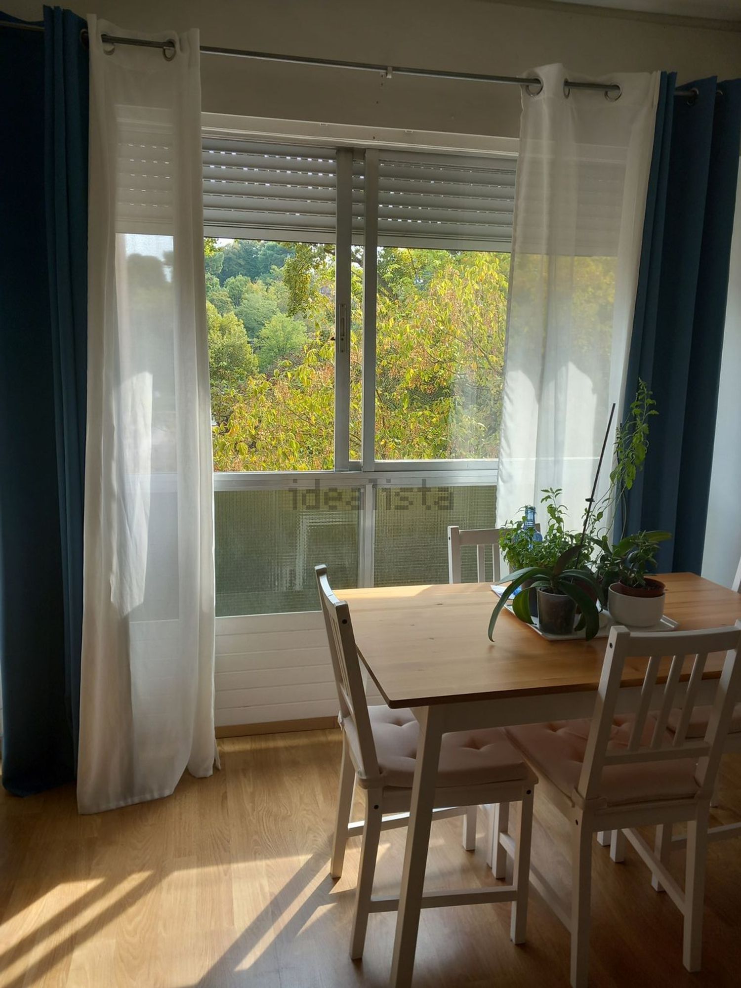 Habitació de lloguer, Getxo