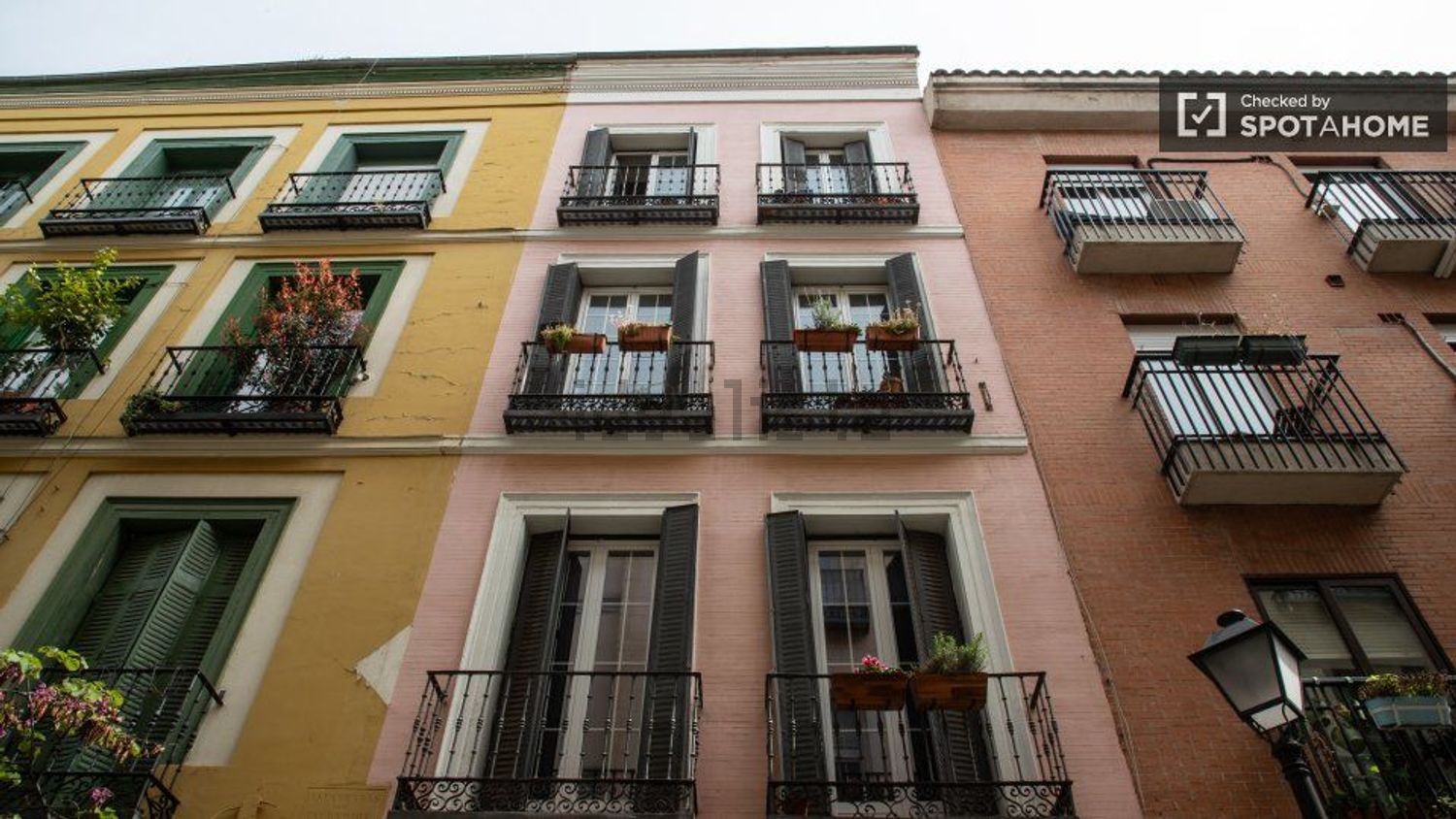 Habitació de lloguer, Madrid