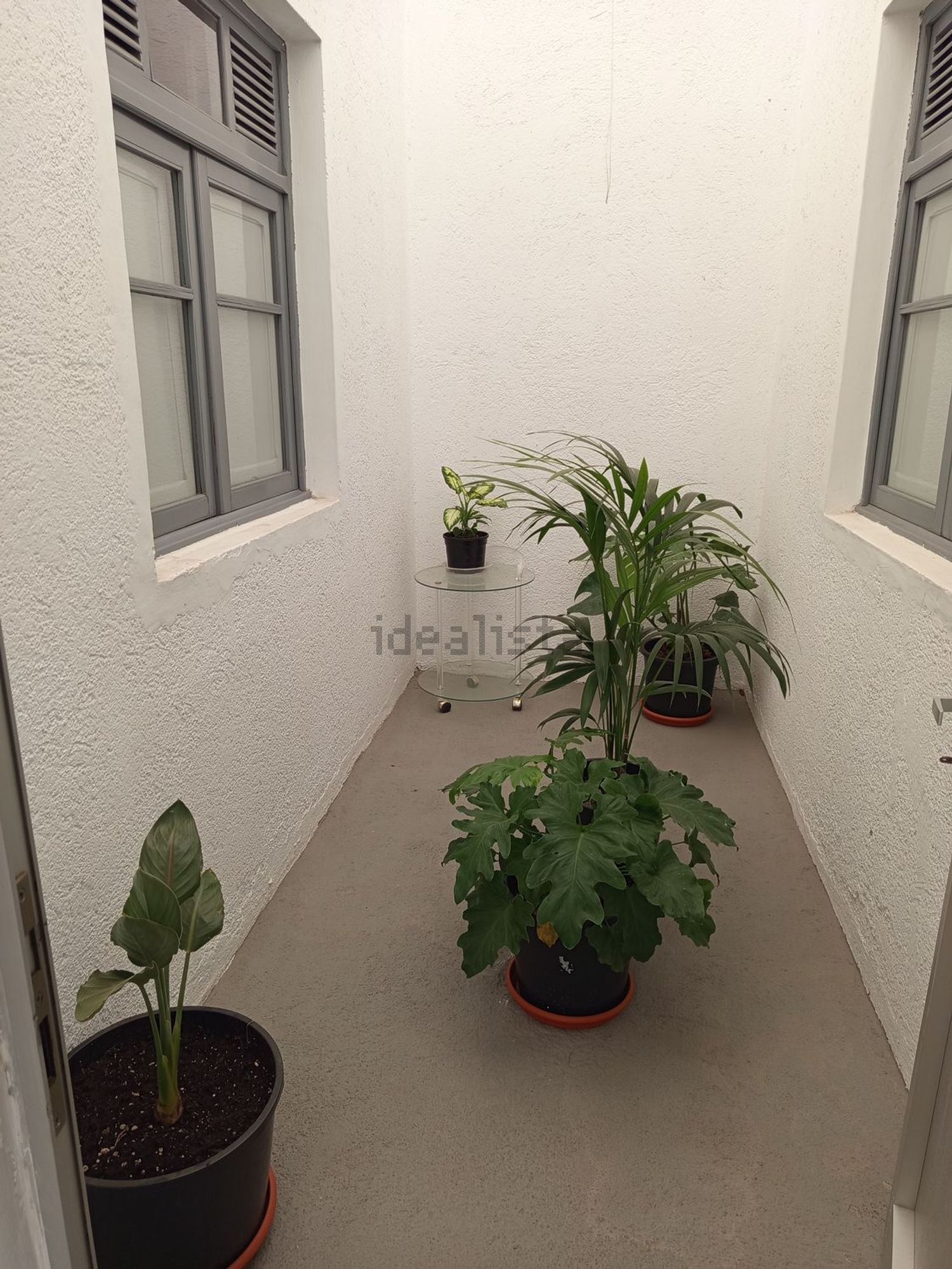 Habitació de lloguer, Güímar