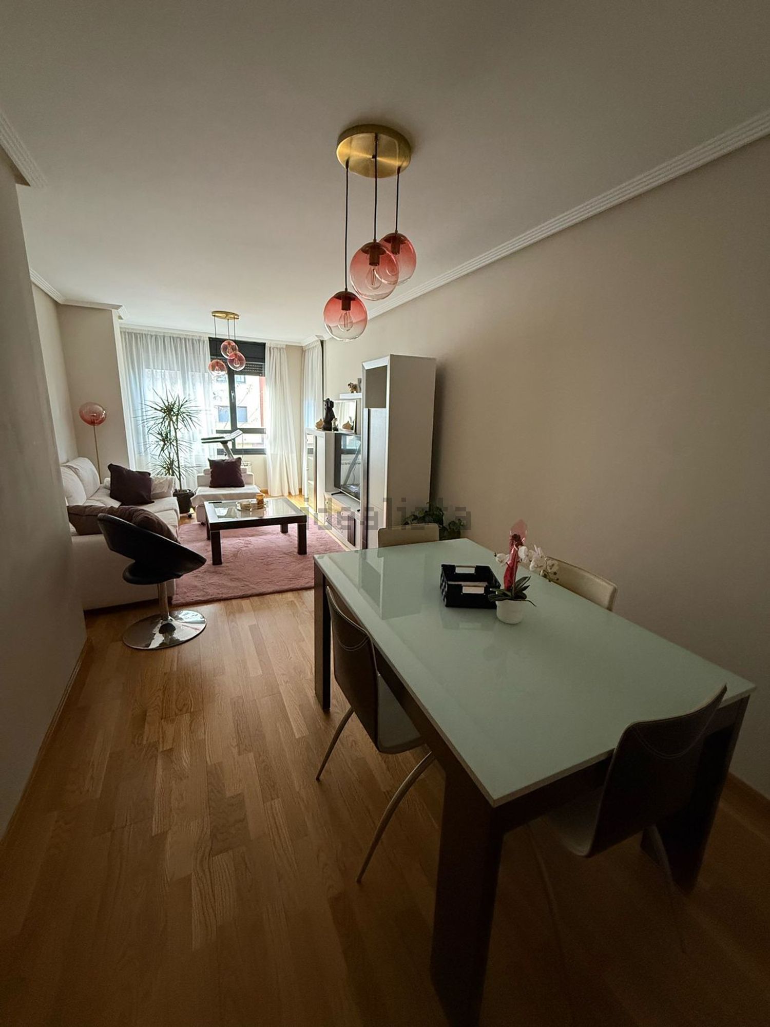 Habitació de lloguer, Lleó