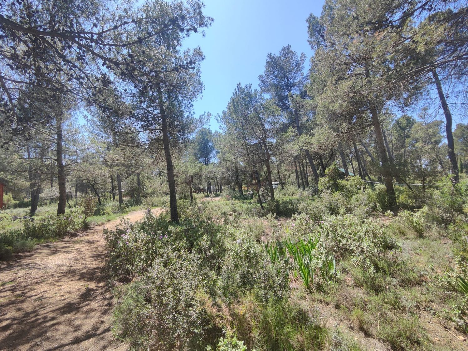 Moradia 92 m² em Enguera