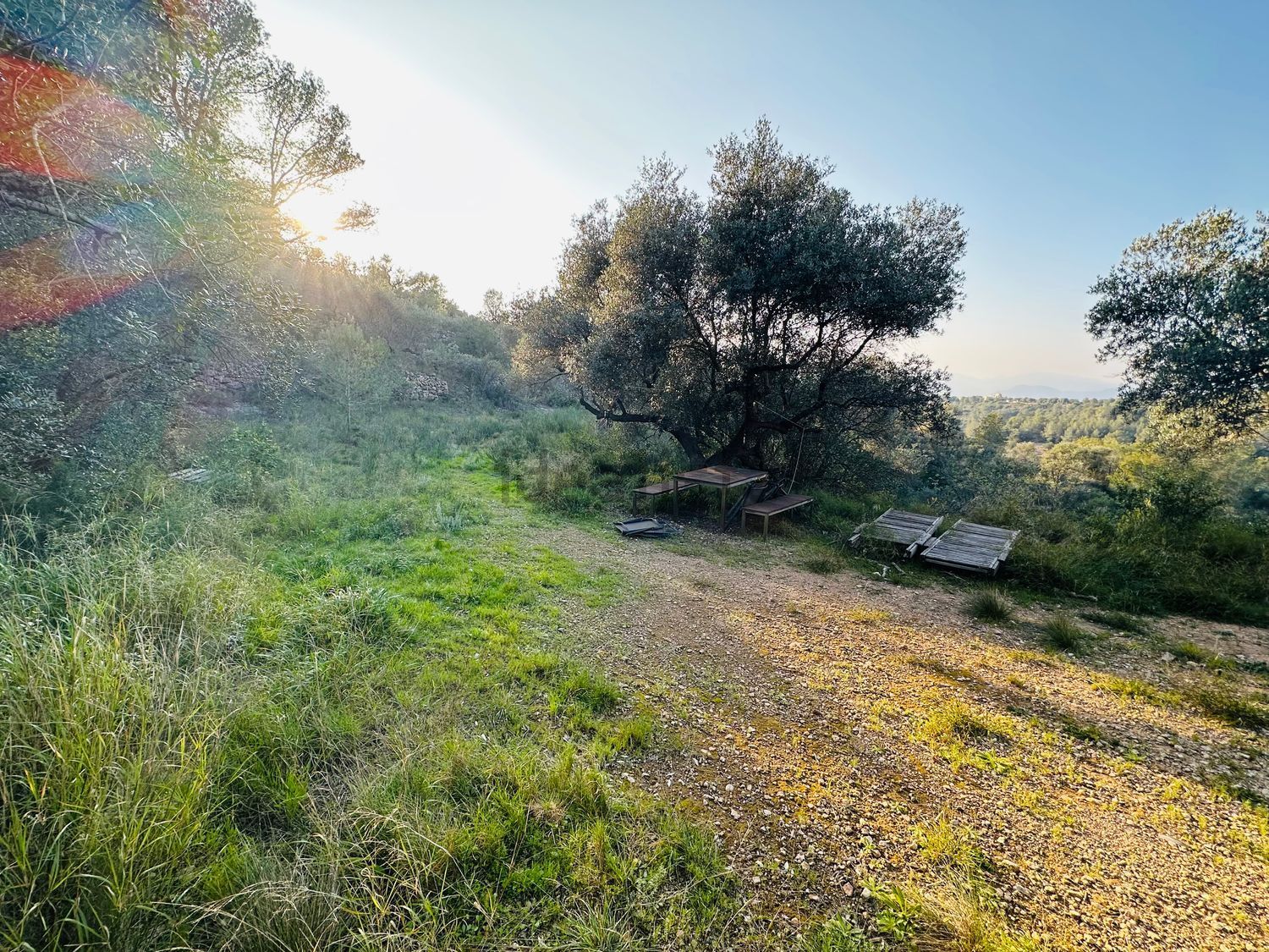 Appartamento 25 m² a Tortosa