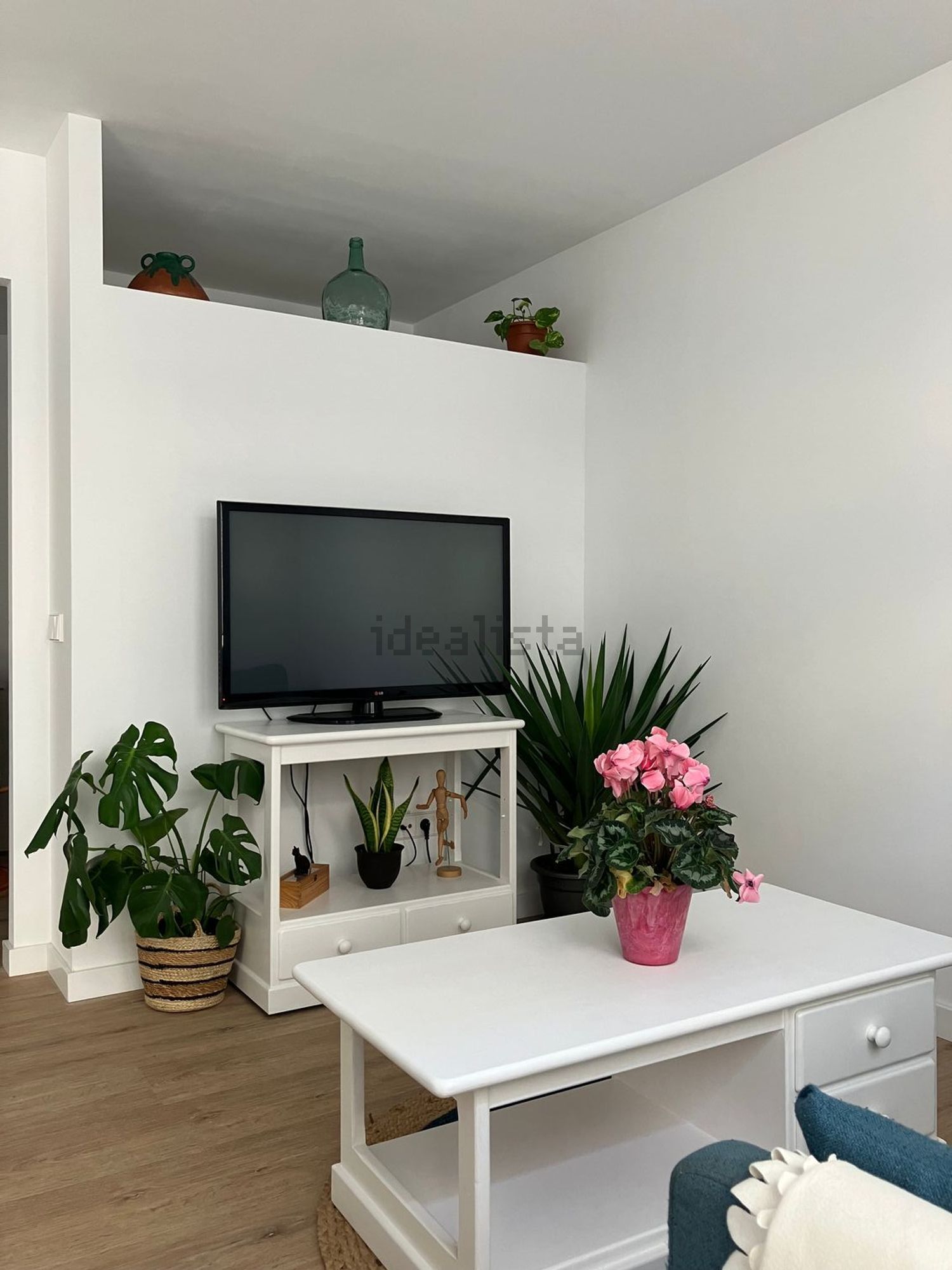Habitació de lloguer, Palma