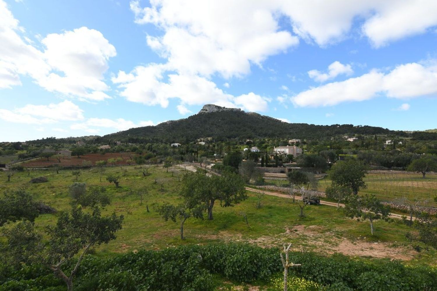 Pis de 310 m² a Felanitx