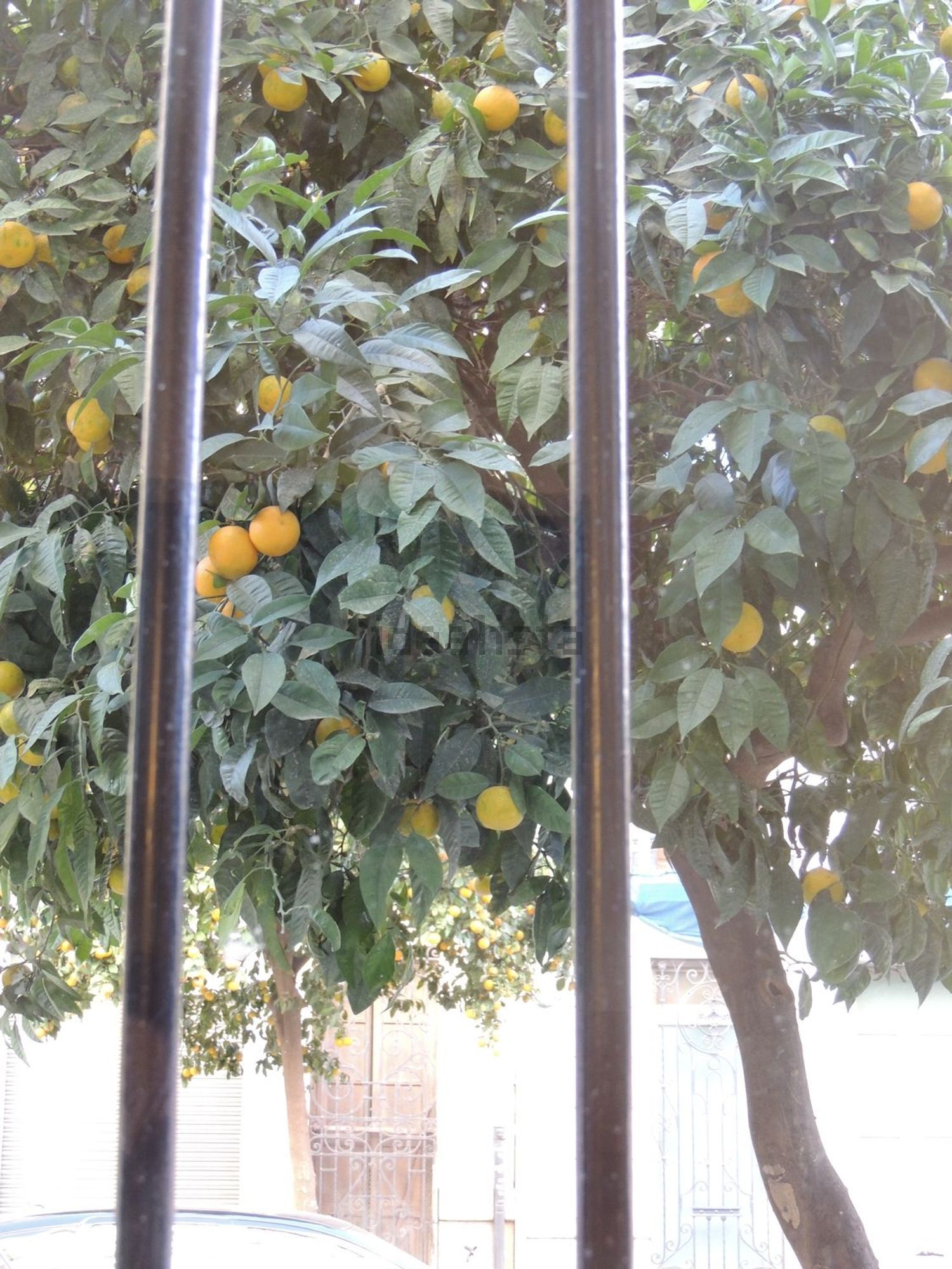 Wohnung 80 m² in Valencia