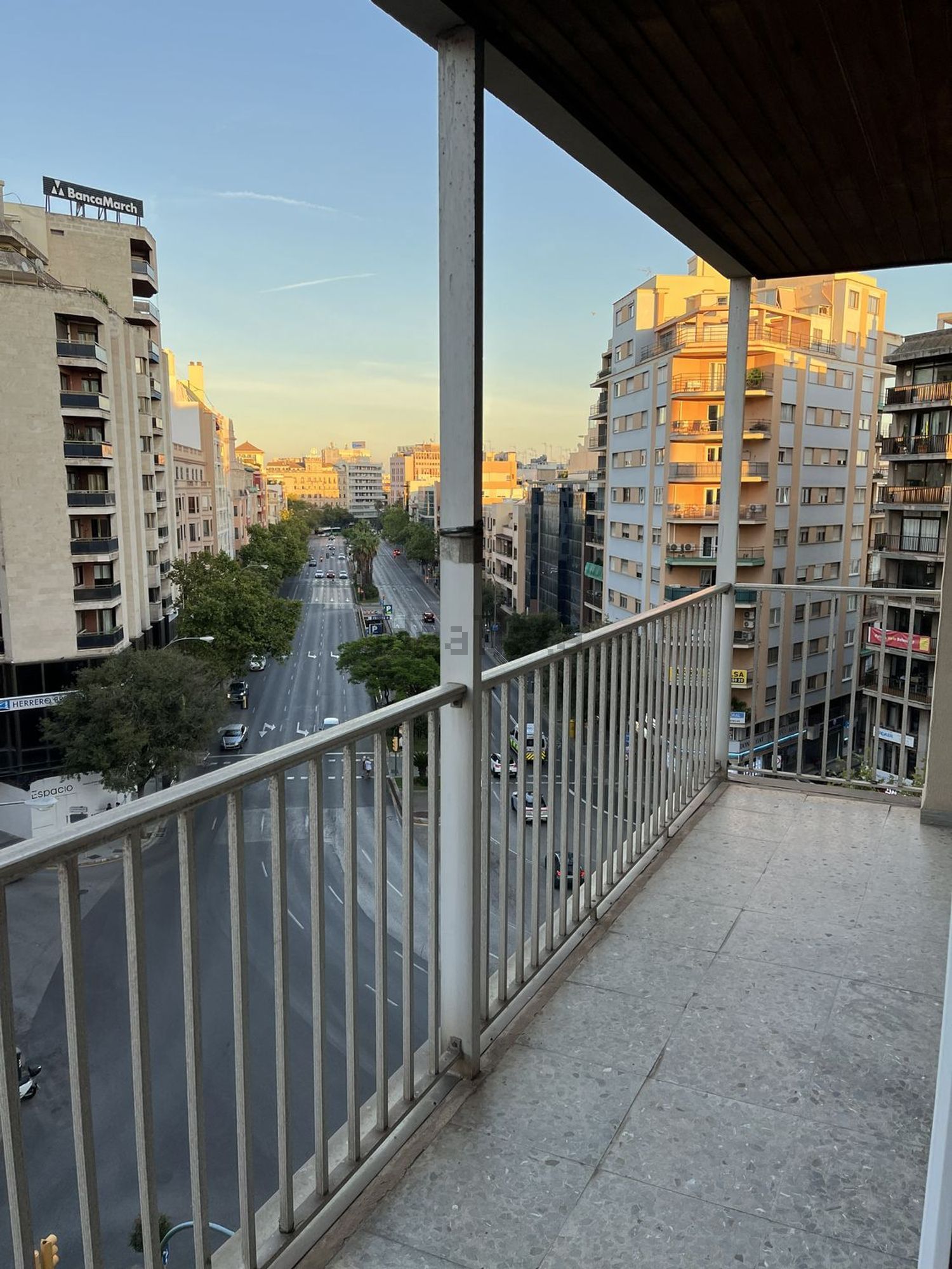 Кімната в оренду, Пальма