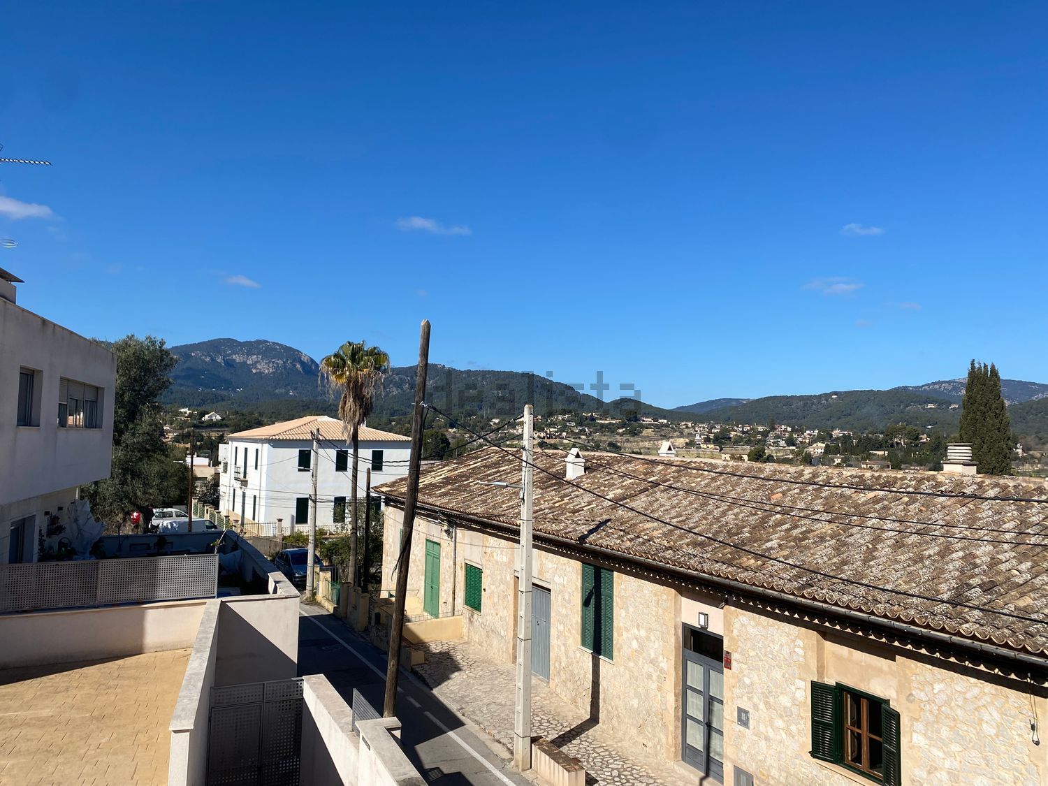 Stanza in affitto, Palma