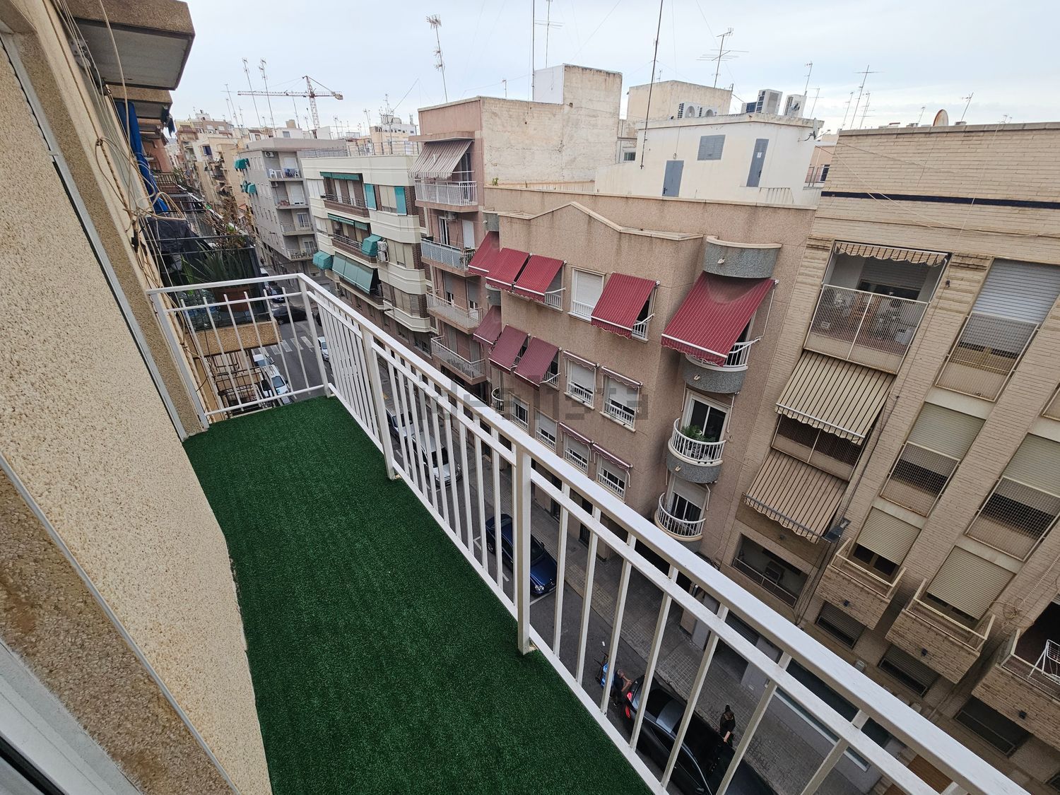 Habitació de lloguer, Elx