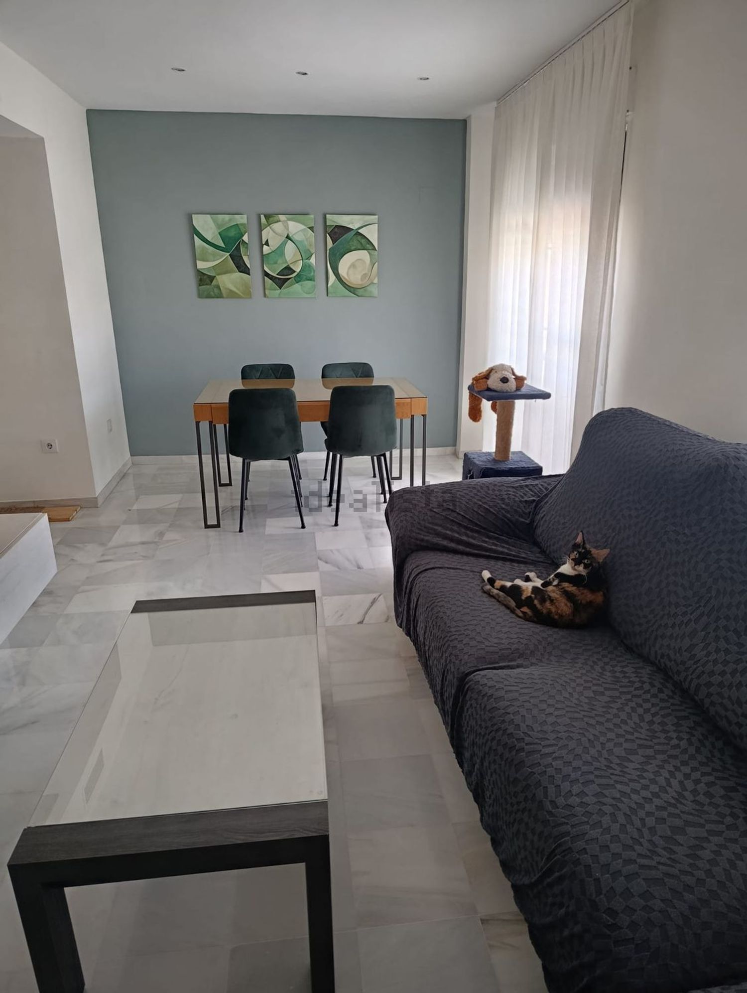 Habitació de lloguer, Còrdova