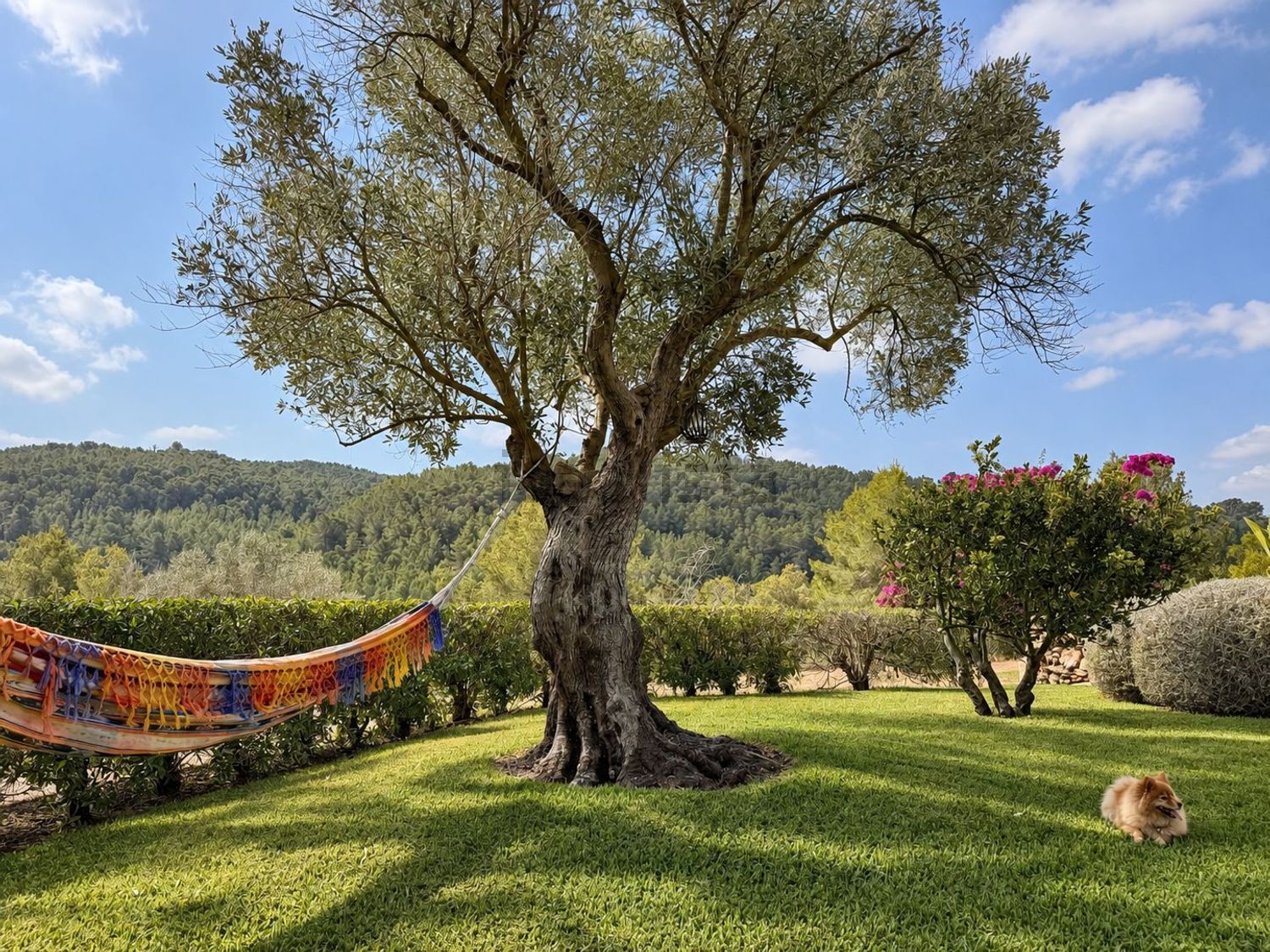 Casa de 230 m² a Sant Joan de Labritja