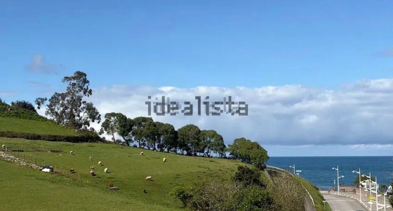 Stanza in affitto, Carreño