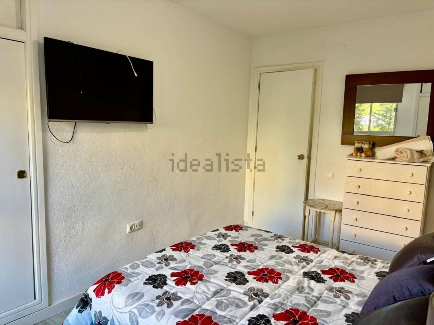 Habitació de lloguer, Alacant