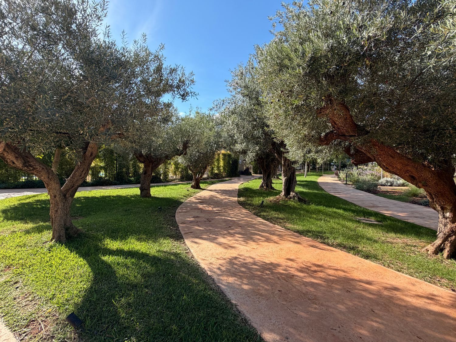 Pis de 142 m² a Dénia
