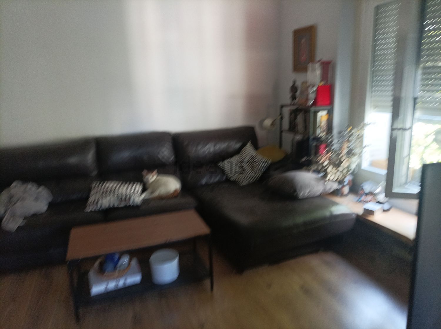 Zimmer zur Miete, Madrid