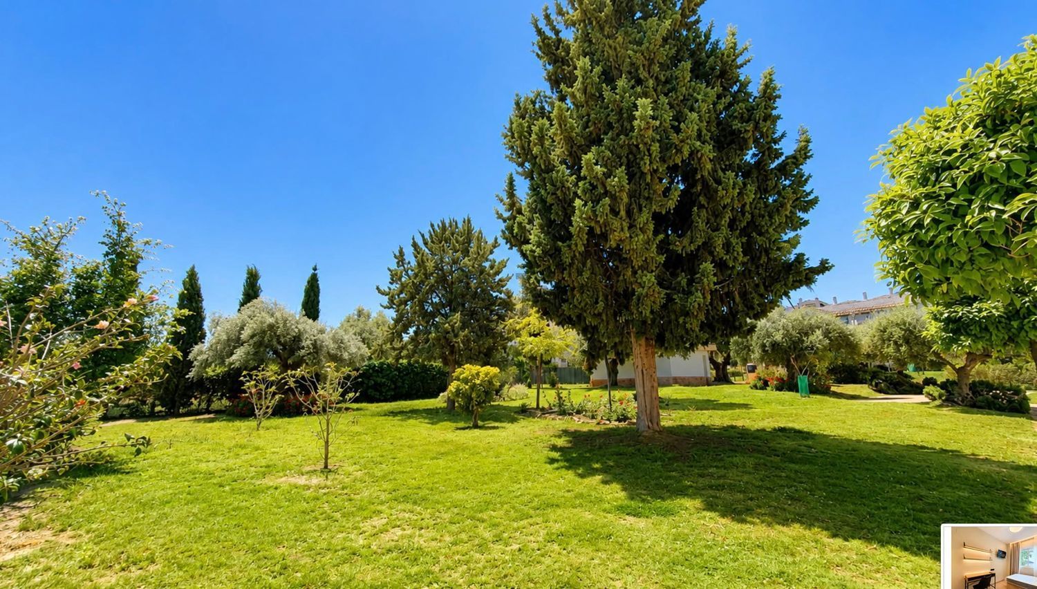 Habitació de lloguer, Màlaga