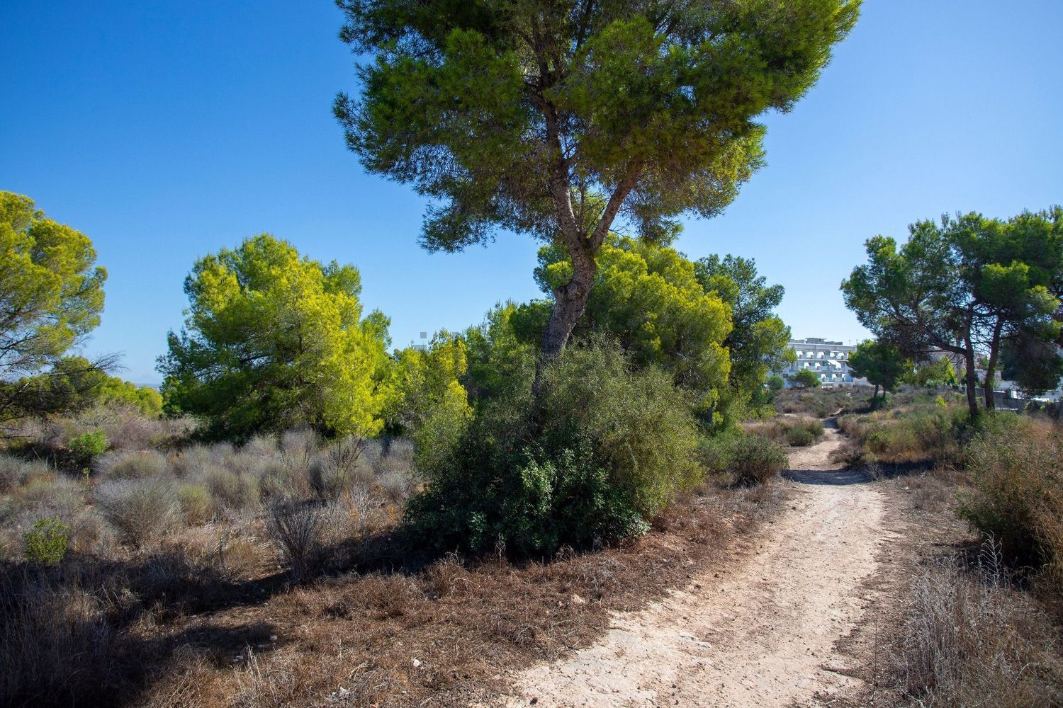 Piso de 65 m² en Orihuela