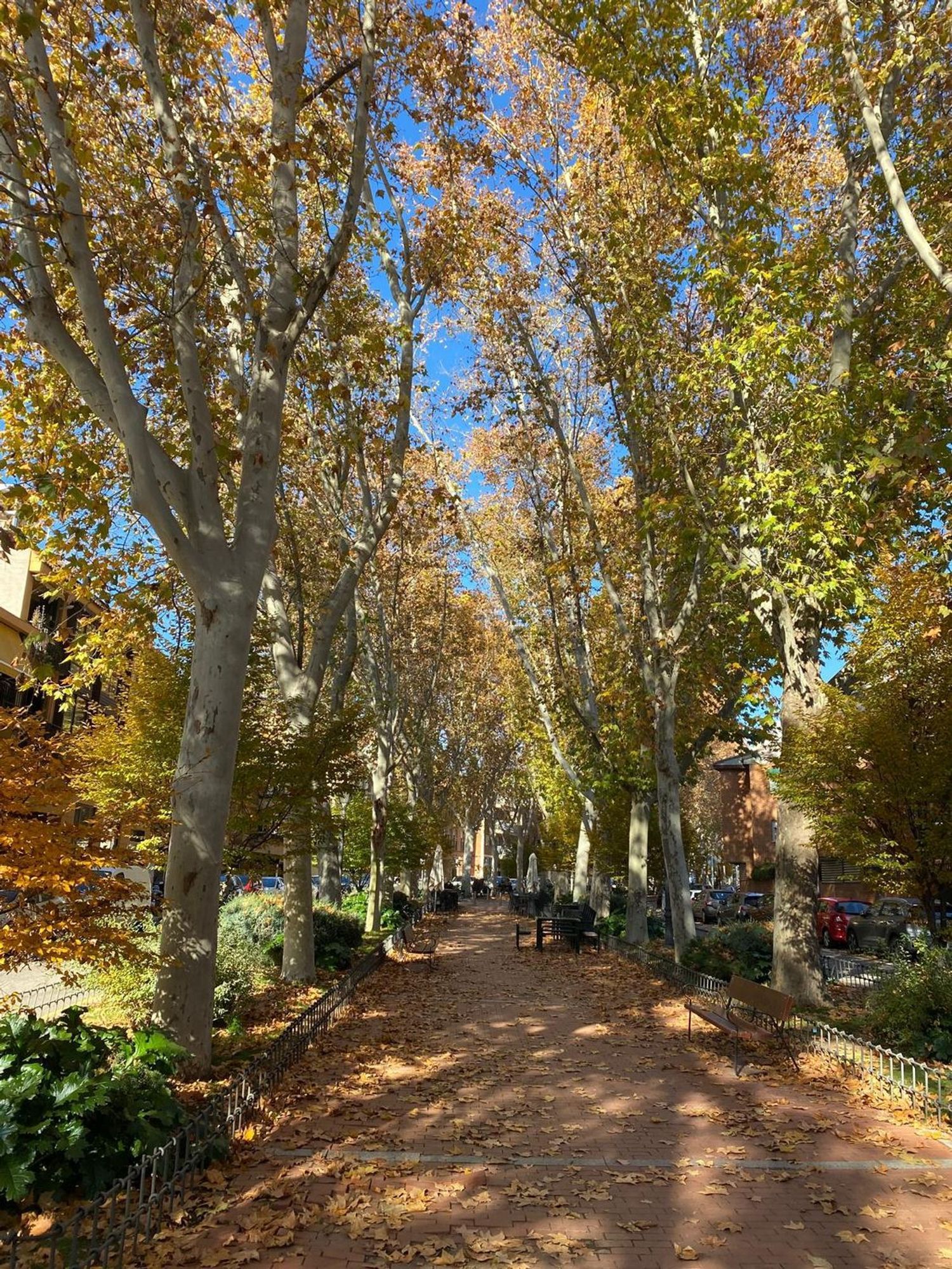 Appartamento 34 m² a Madrid