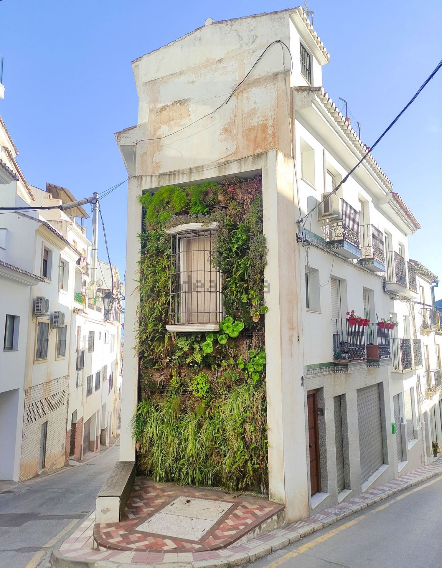 Habitació de lloguer, Álora