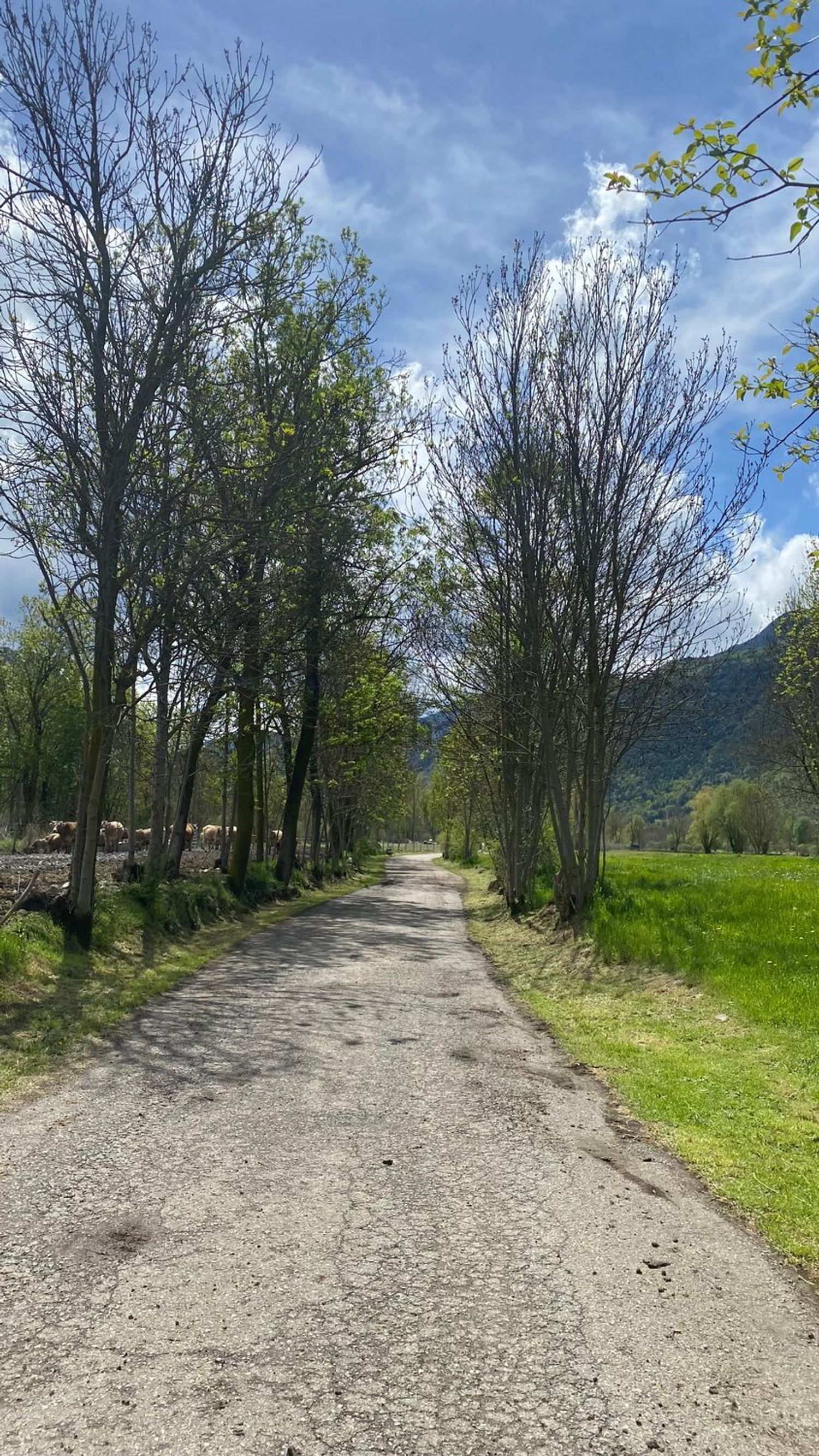 Piso de 75 m² en Esterri d'Àneu