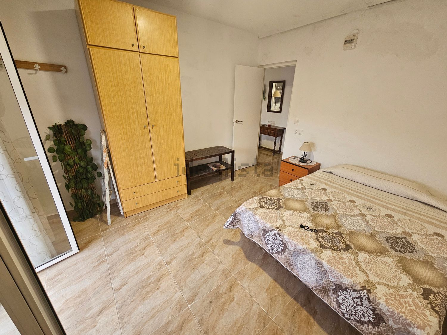 Habitació de lloguer, Elx