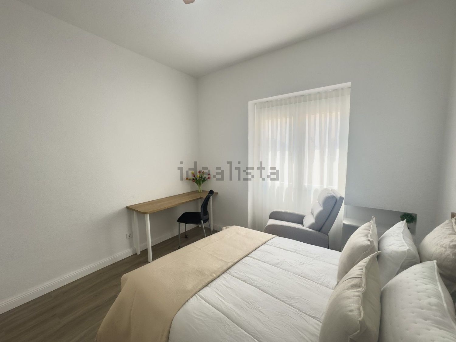 Habitació de lloguer, Elx