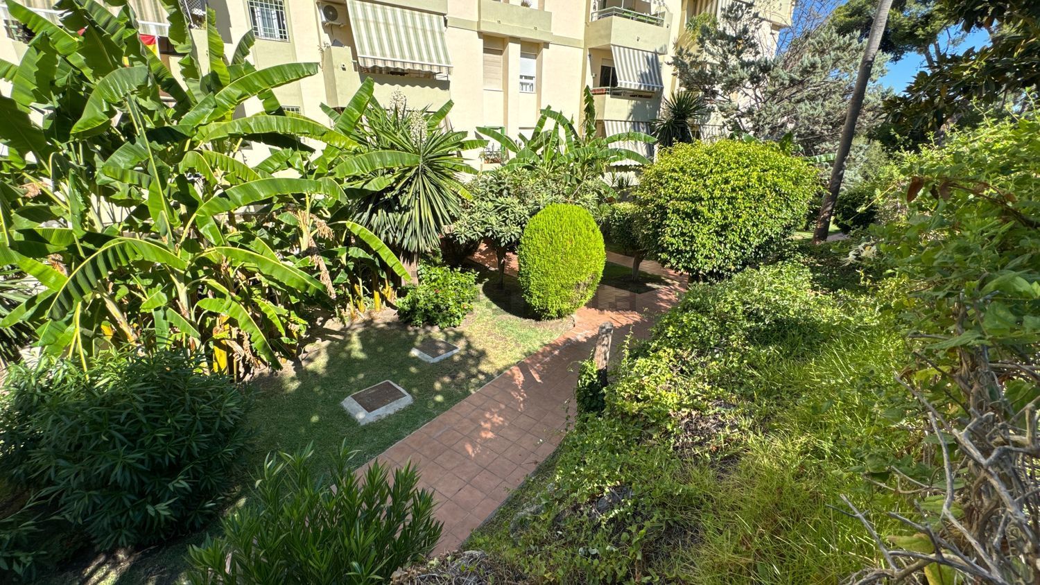 Habitació de lloguer, Torremolinos