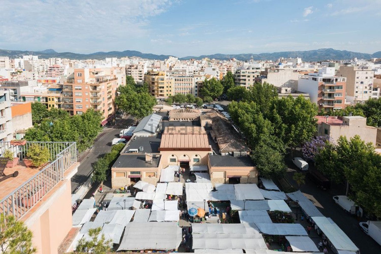 Habitació de lloguer, Palma