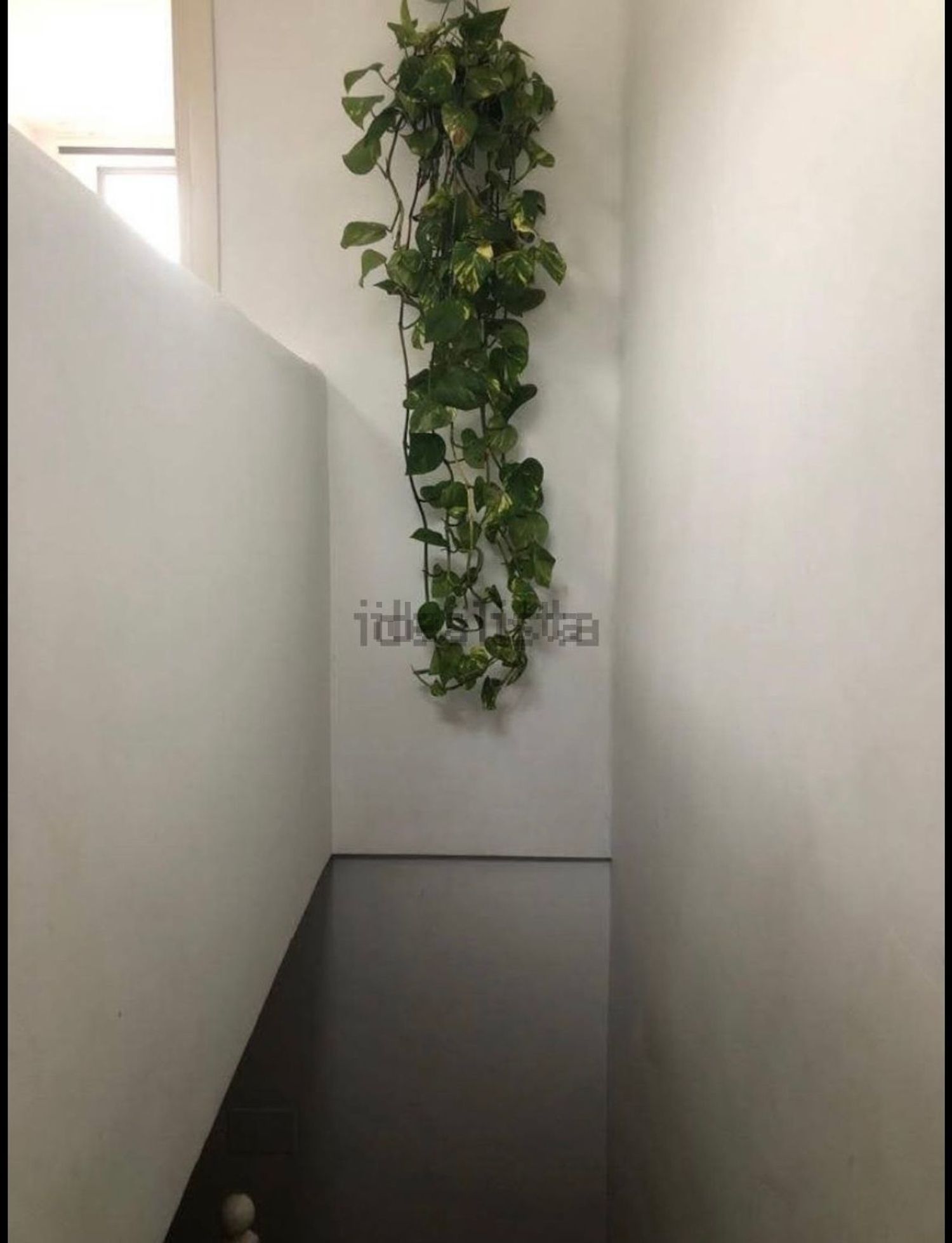 Zimmer zur Miete, Granada