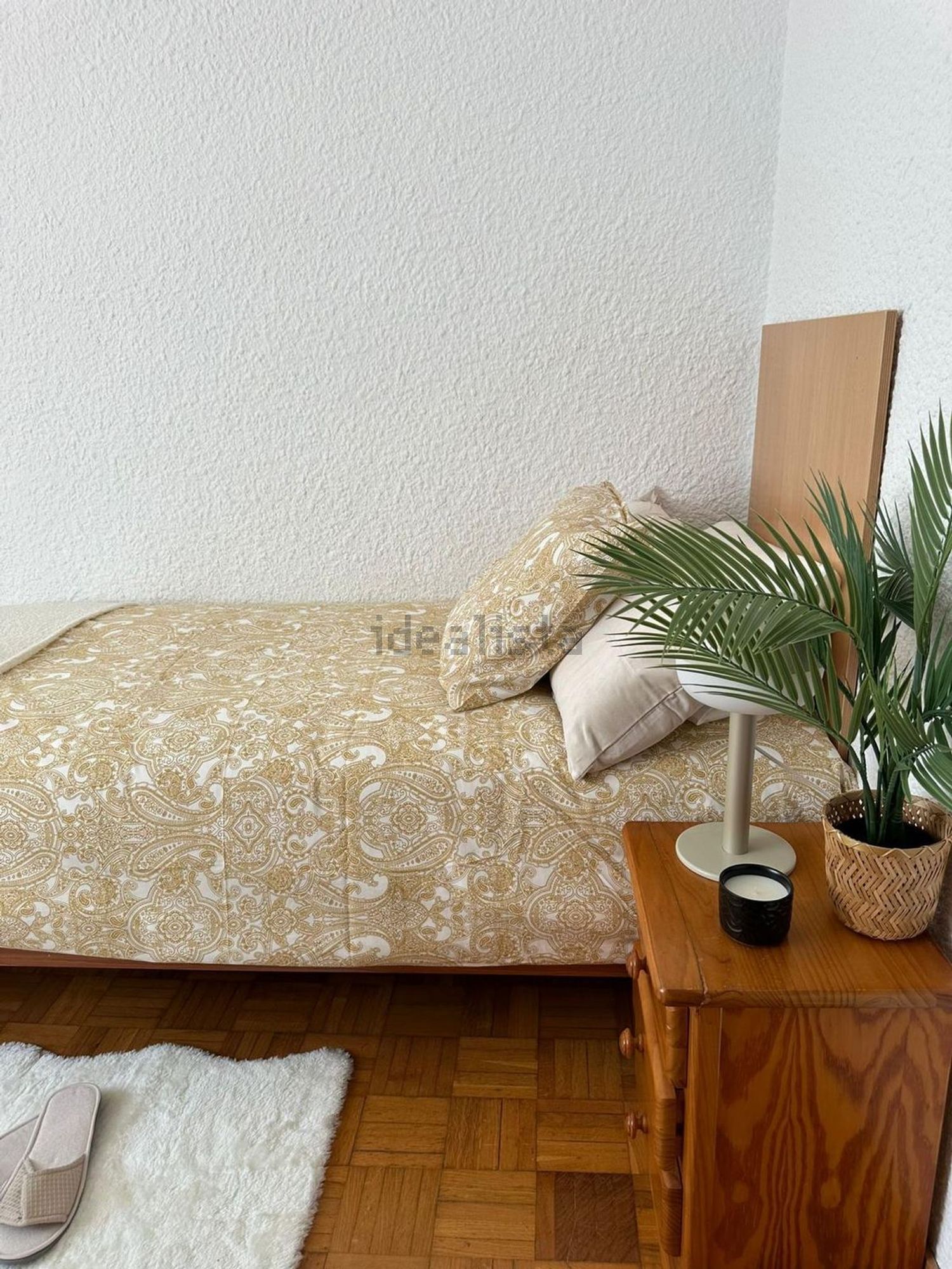 Habitació de lloguer, Saragossa
