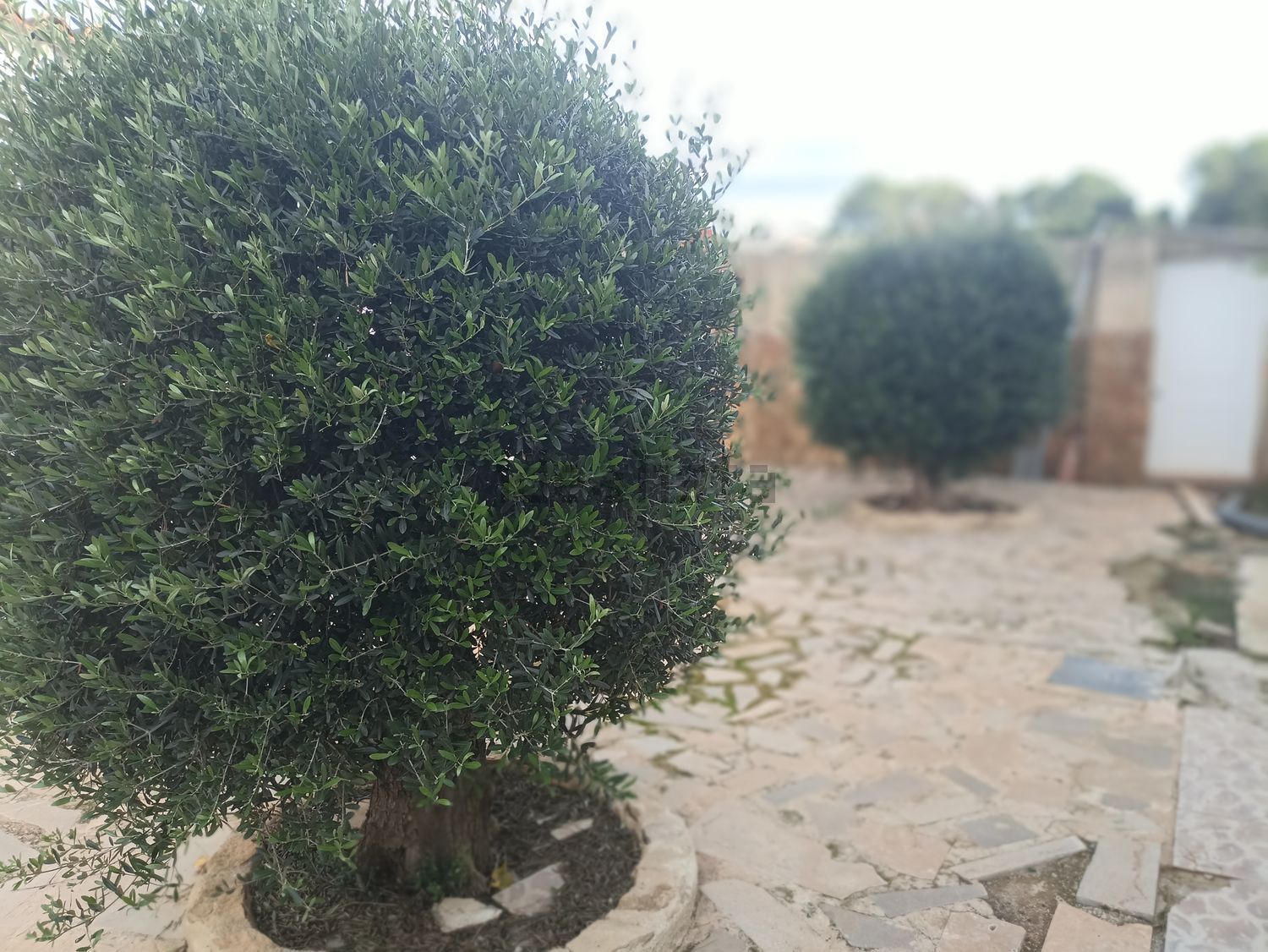 Casa de 85 m² a Palma de Gandia