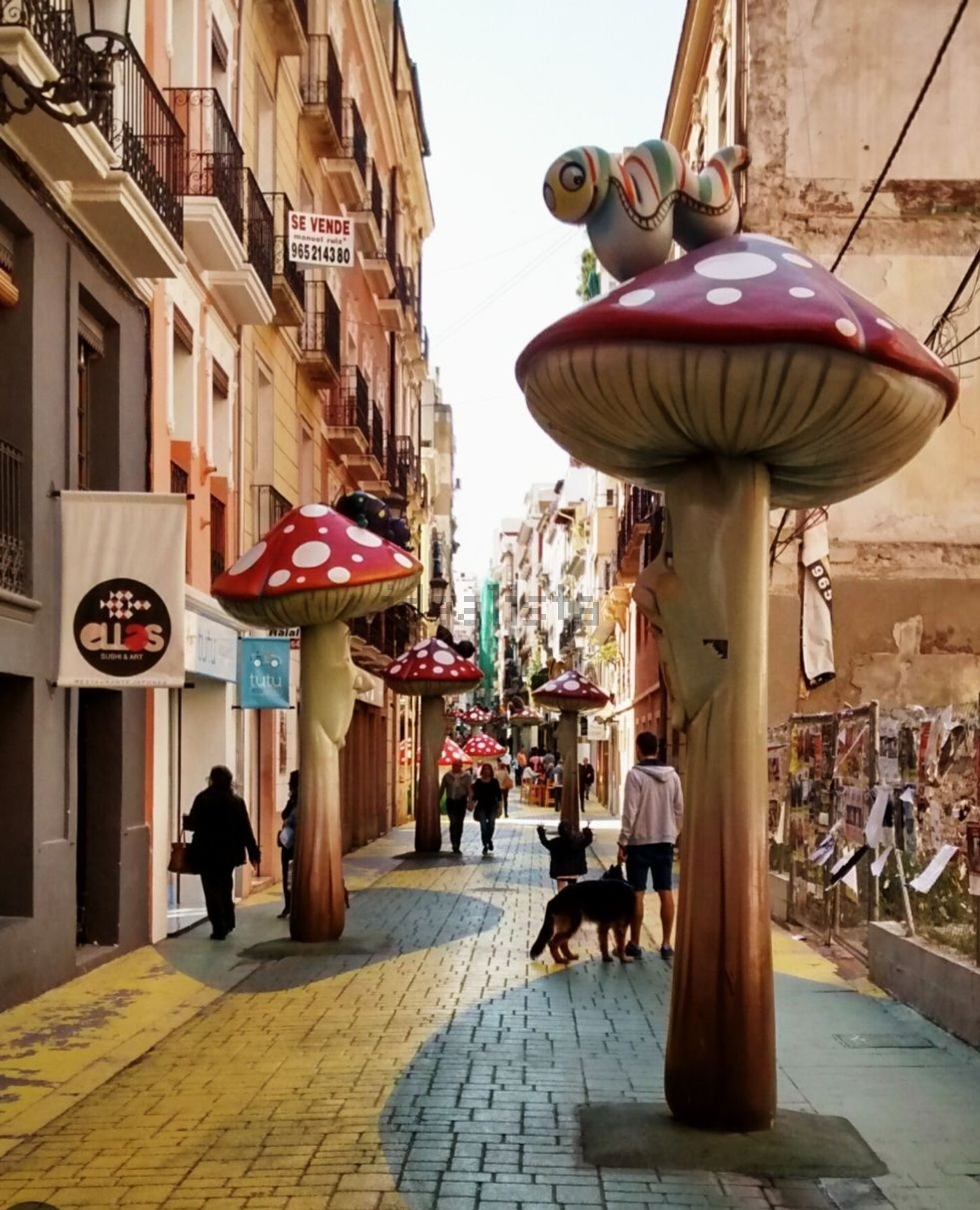 Habitació de lloguer, Alacant