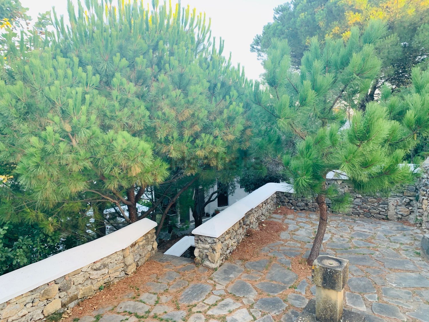Flat 50 m² in Casares