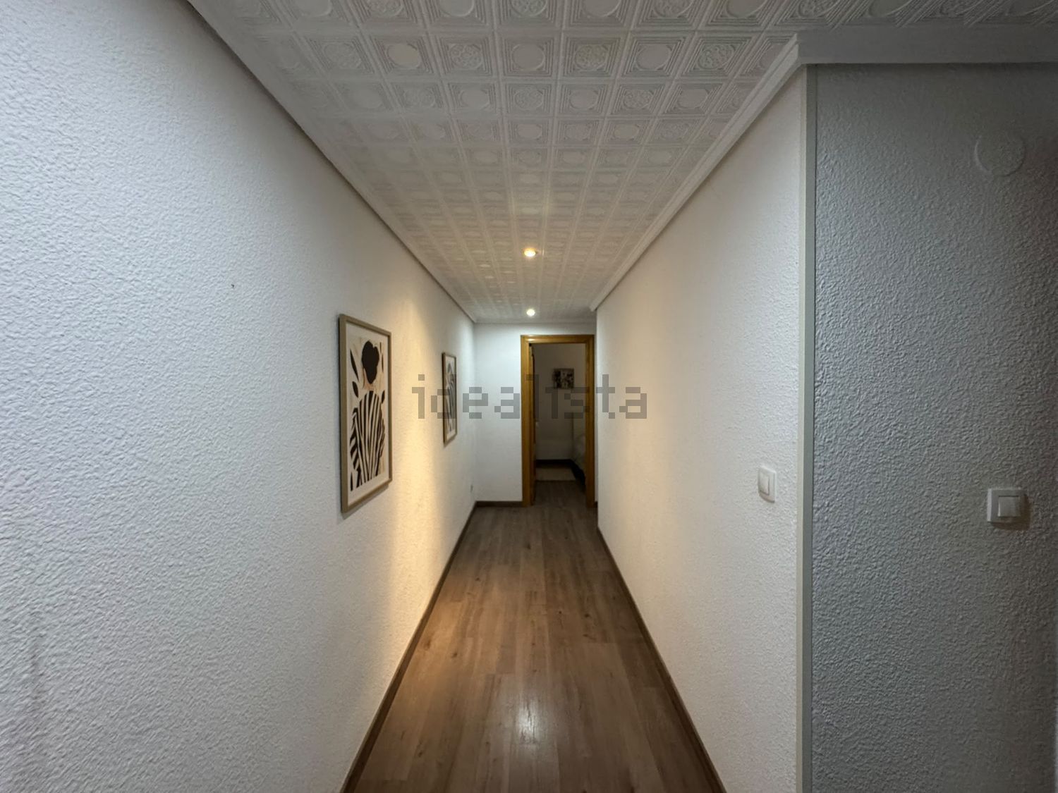 Habitació de lloguer, Elx