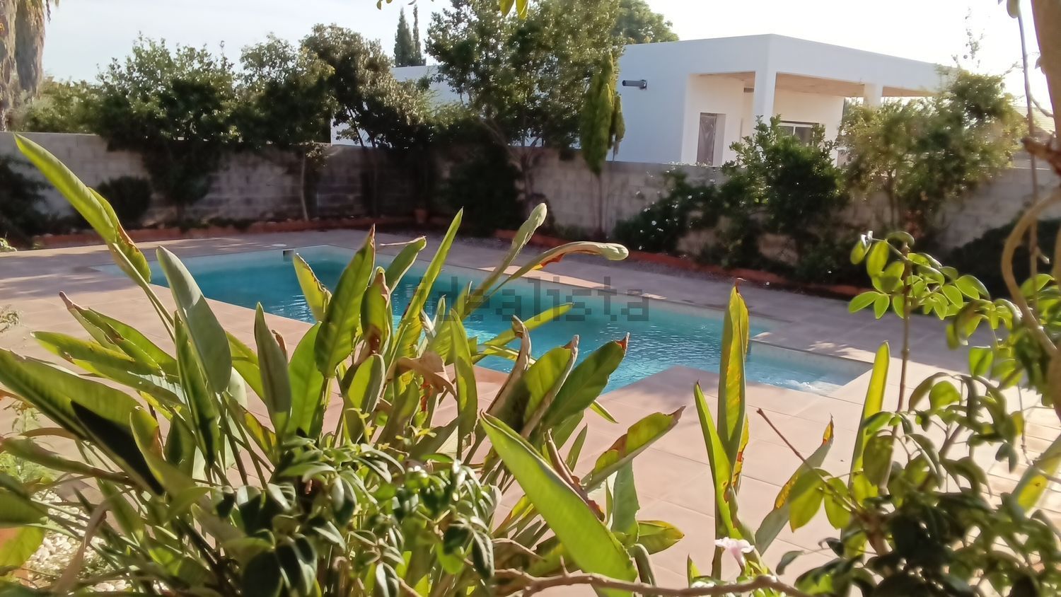 Stanza in affitto, Vila-real