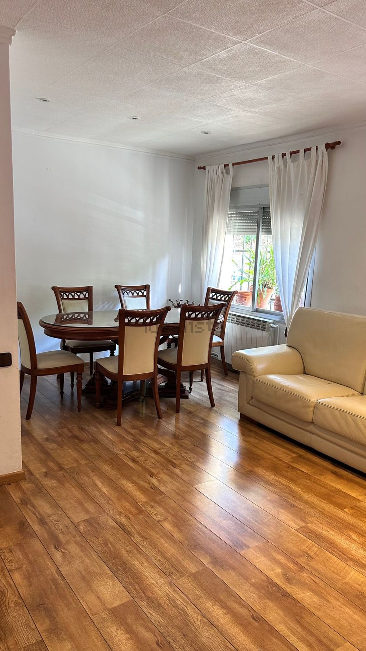 Habitació de lloguer, Molins de Rei