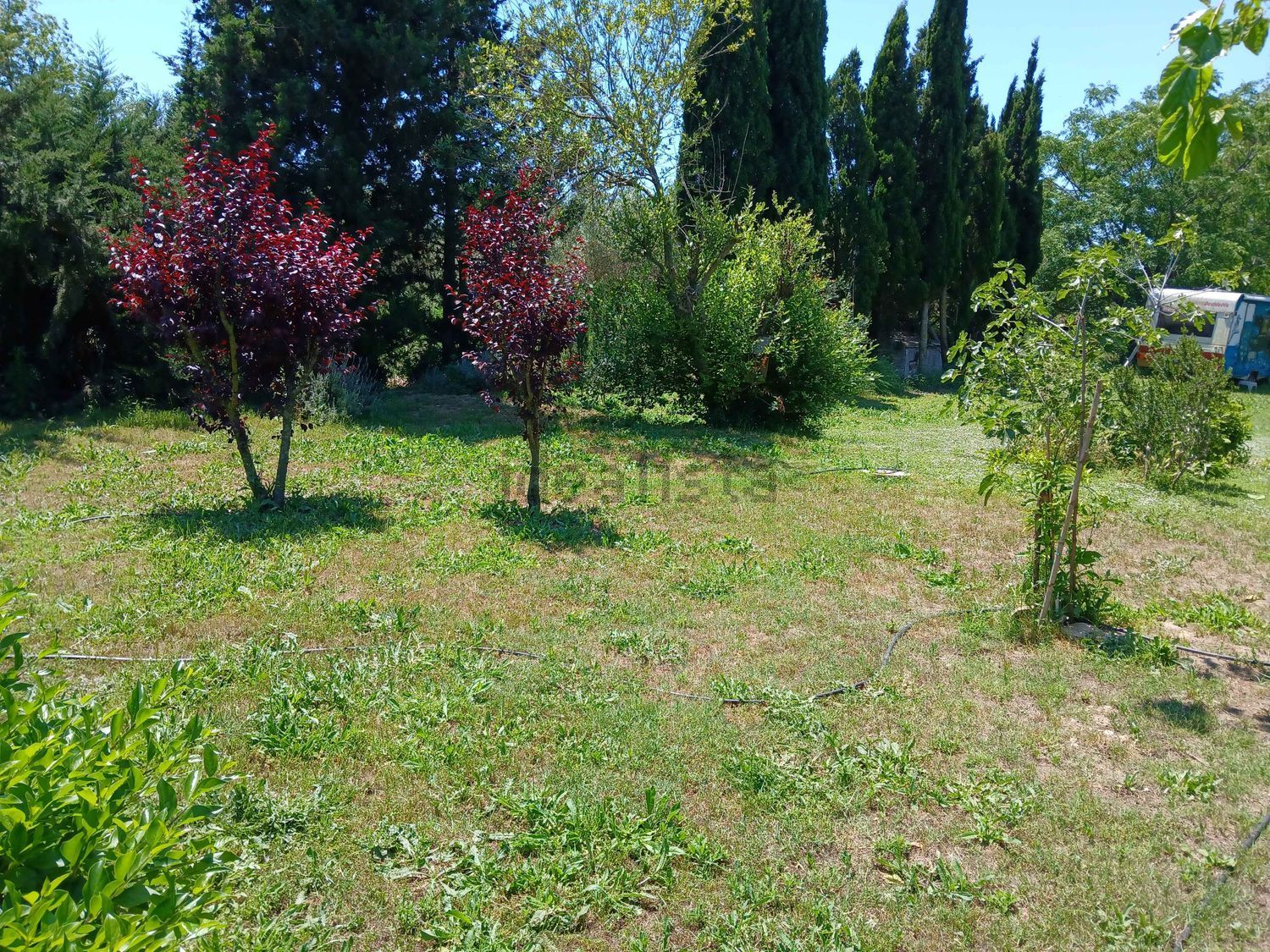 Habitació de lloguer, Tortosa