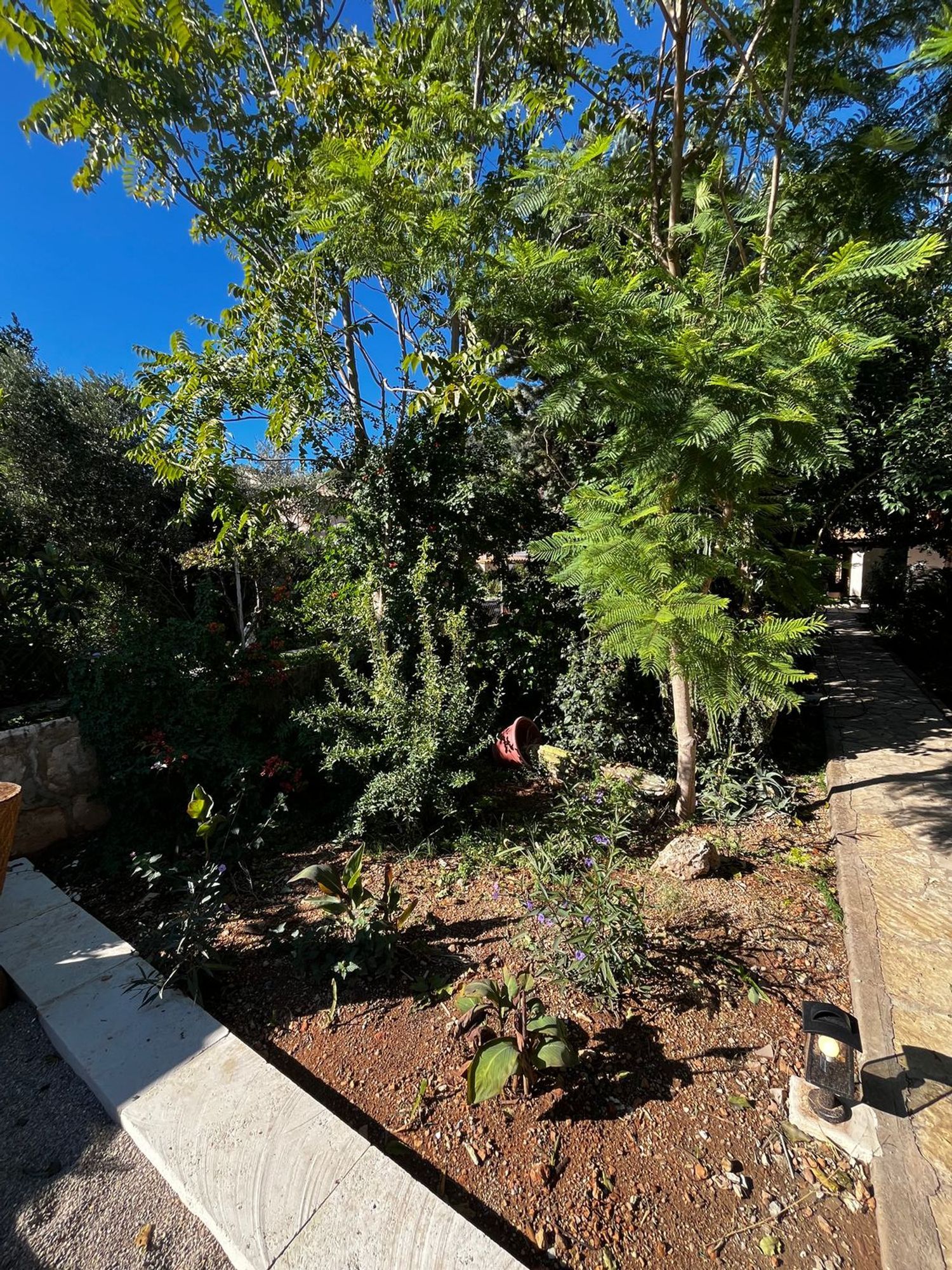 Moradia 485 m² em Alaró