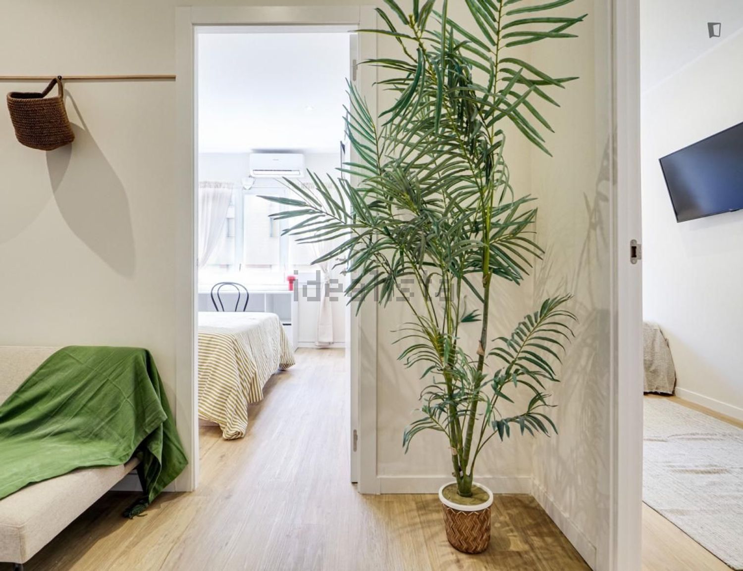 Habitació de lloguer, Barcelona