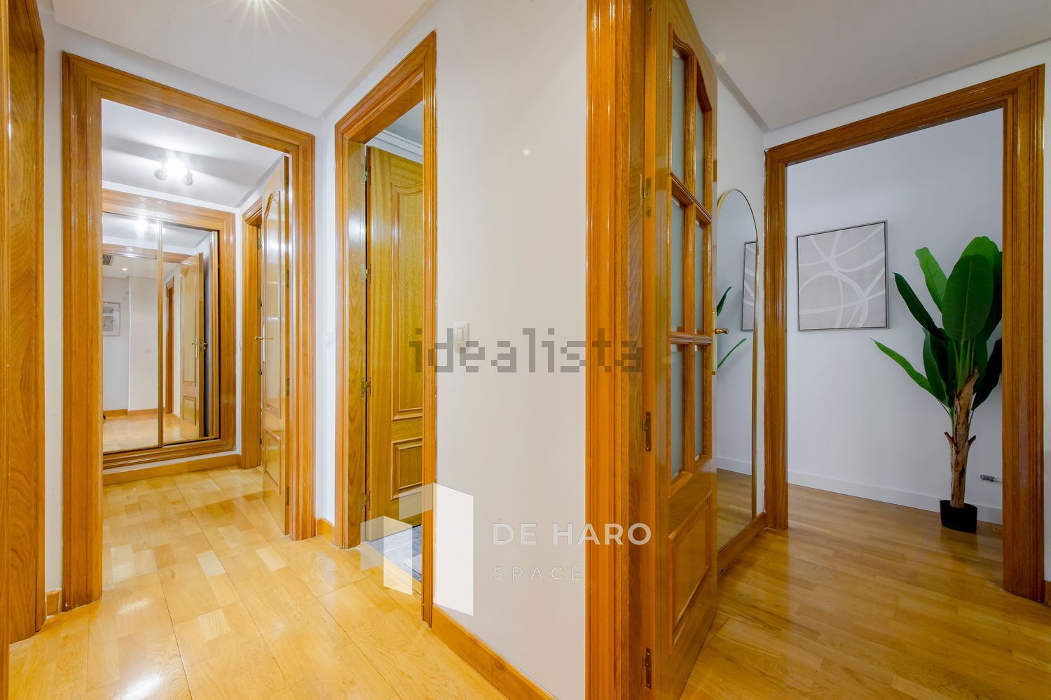 Stanza in affitto, Madrid