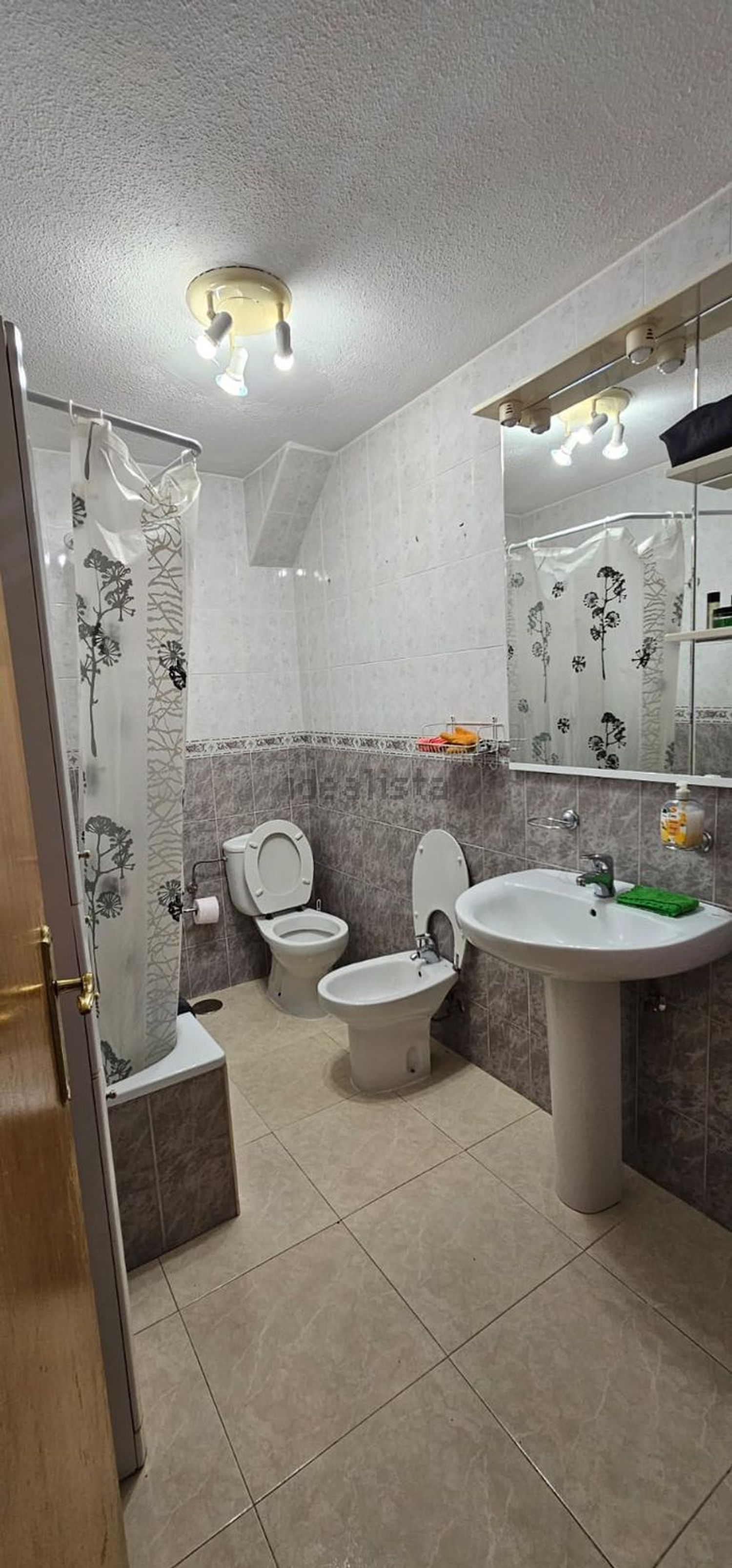 Habitació de lloguer, Alacant