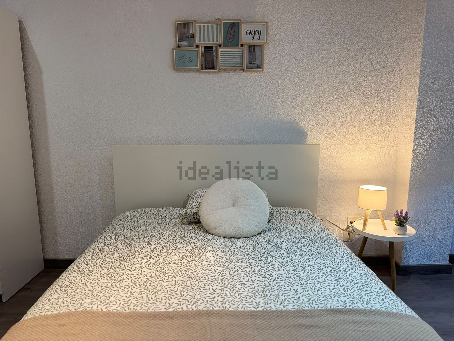 Habitació de lloguer, Elx