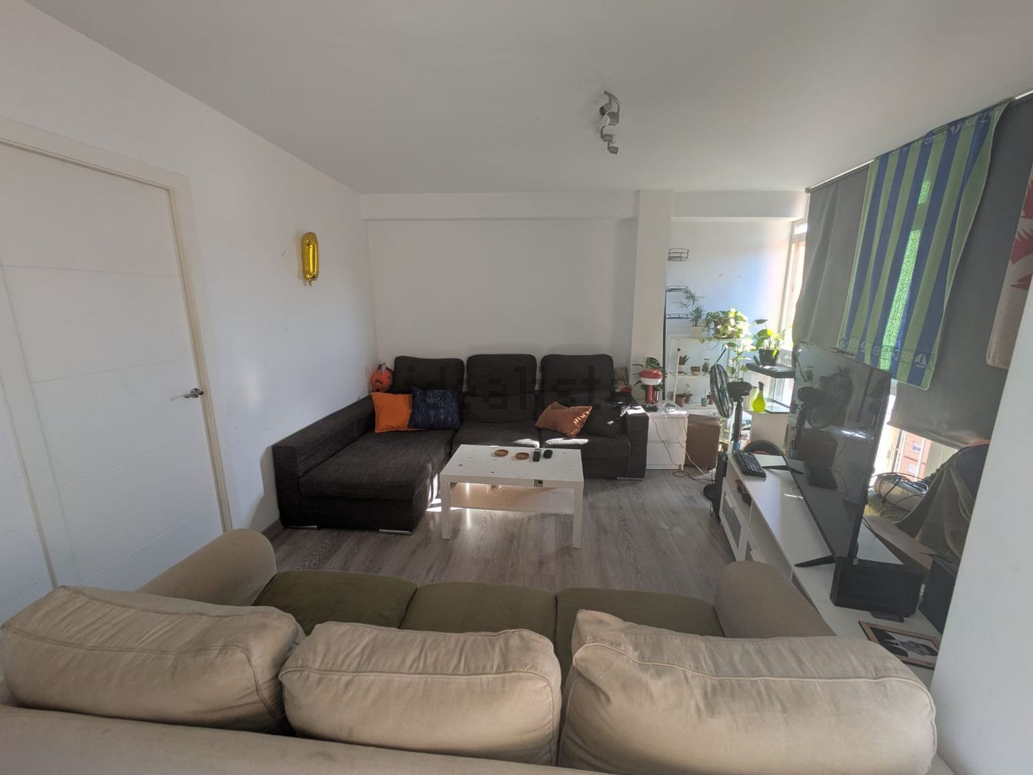 Chambre à louer, Málaga