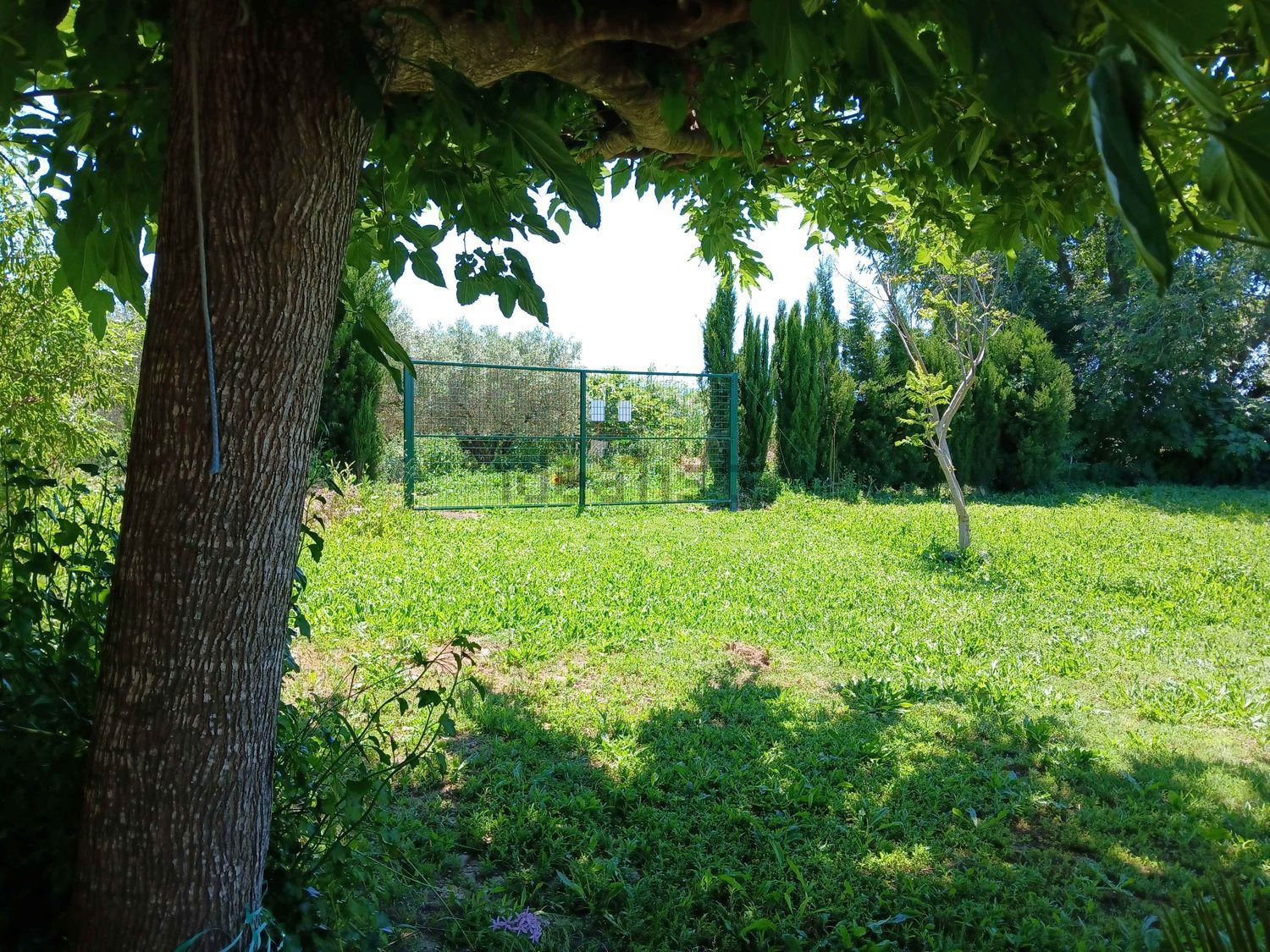 Habitació de lloguer, Tortosa