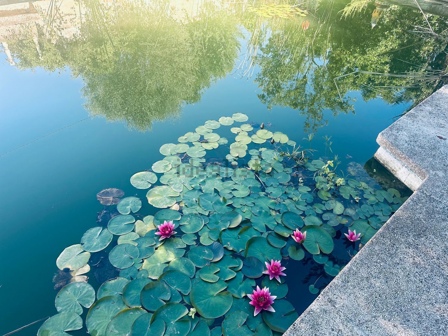 Habitación en alquiler, Sant Joan